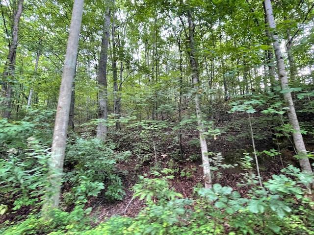 Lot 51 Yellowwood Drive Sevierville TN 37876