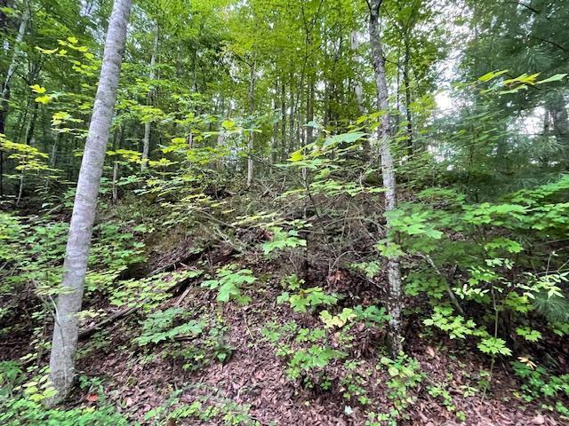 Lot 51 Yellowwood Drive Sevierville TN 37876