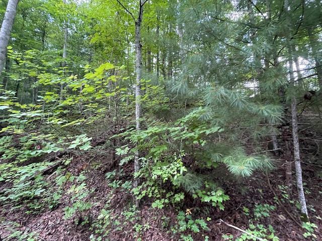 Lot 51 Yellowwood Drive Sevierville TN 37876