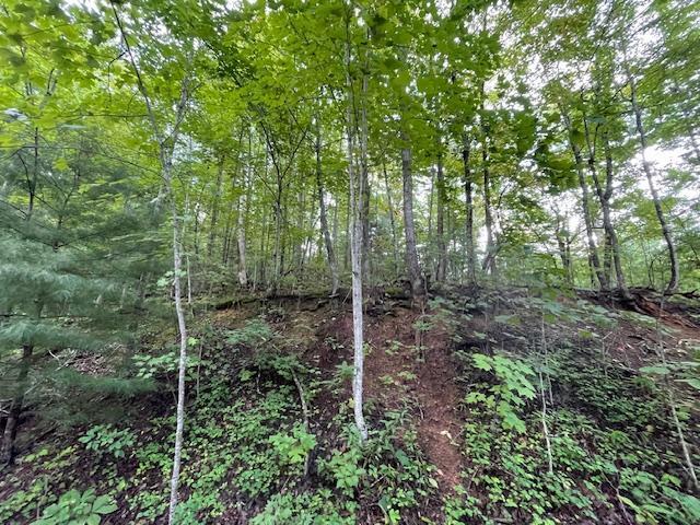 Lot 51 Yellowwood Drive Sevierville TN 37876