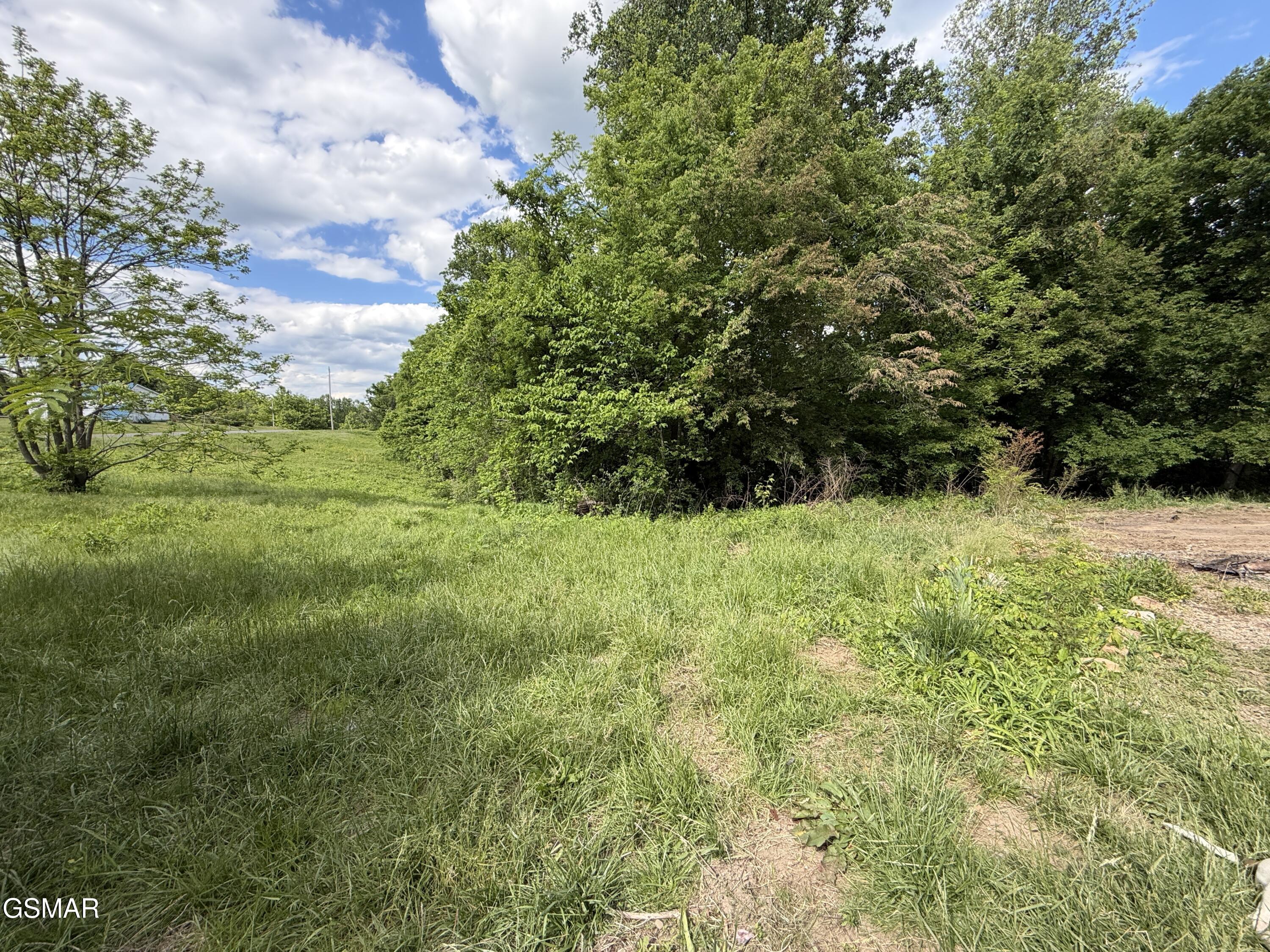 316 Wiley Town Road Newport TN 37821