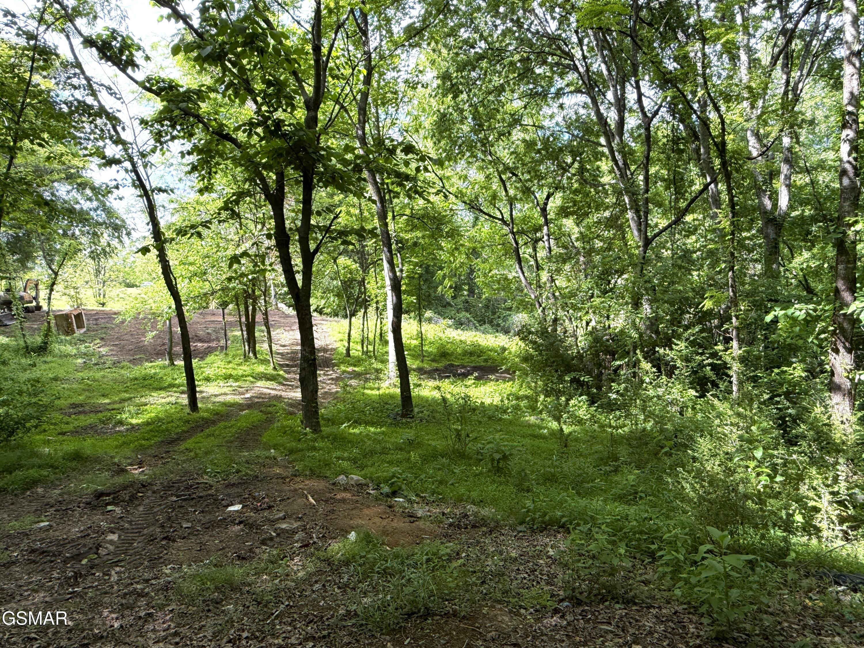 316 Wiley Town Road Newport TN 37821