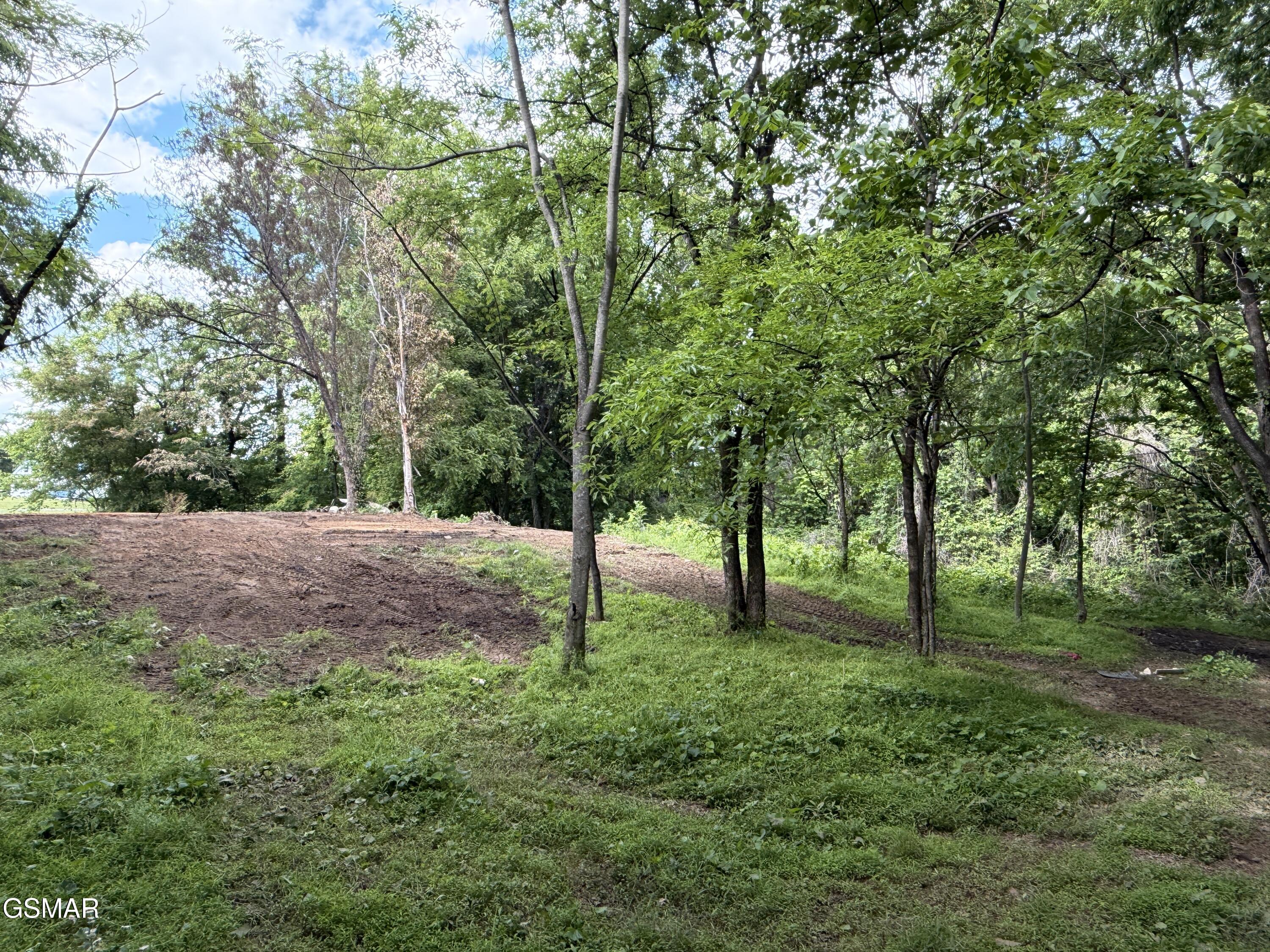 316 Wiley Town Road Newport TN 37821