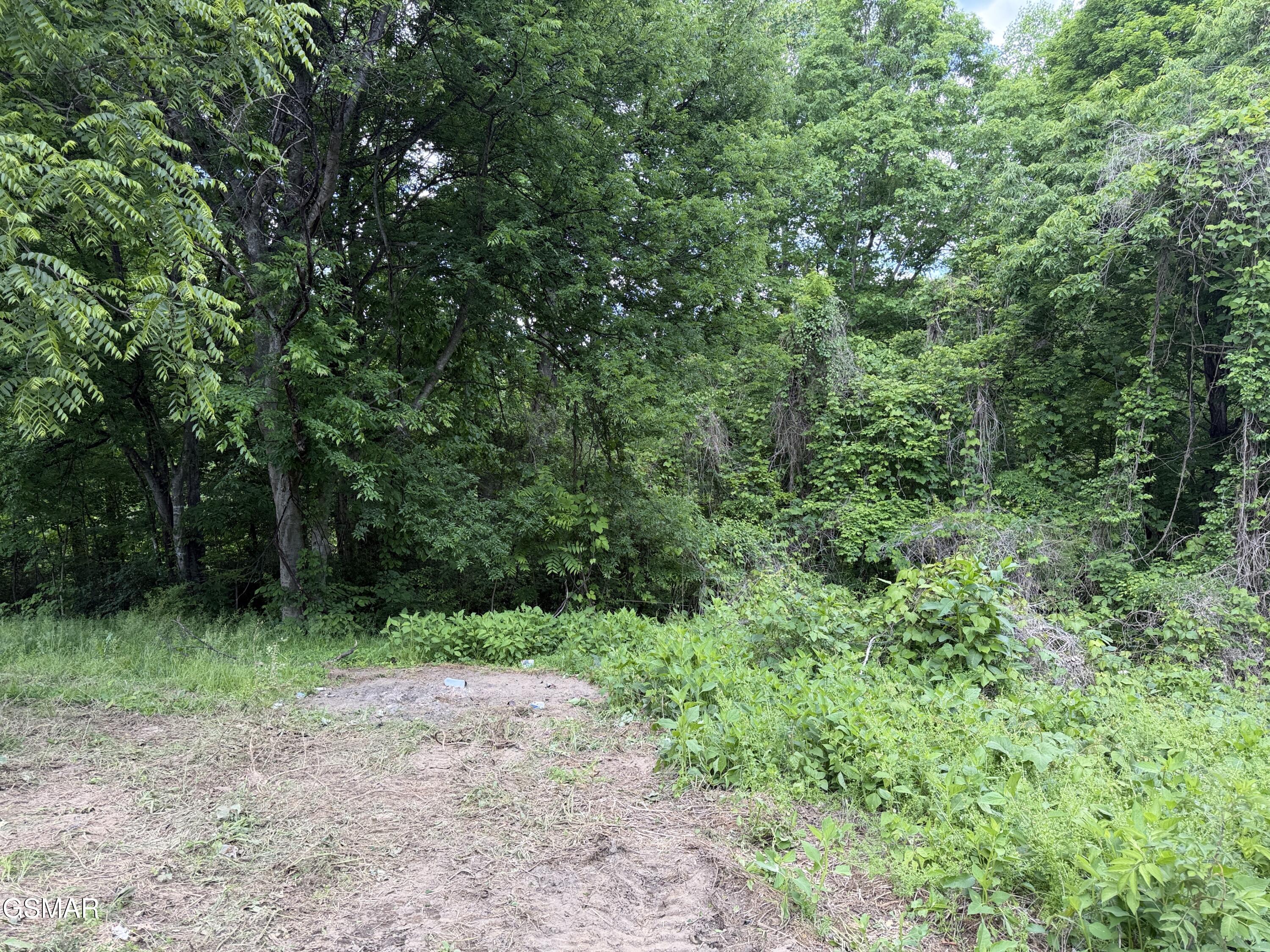 316 Wiley Town Road Newport TN 37821