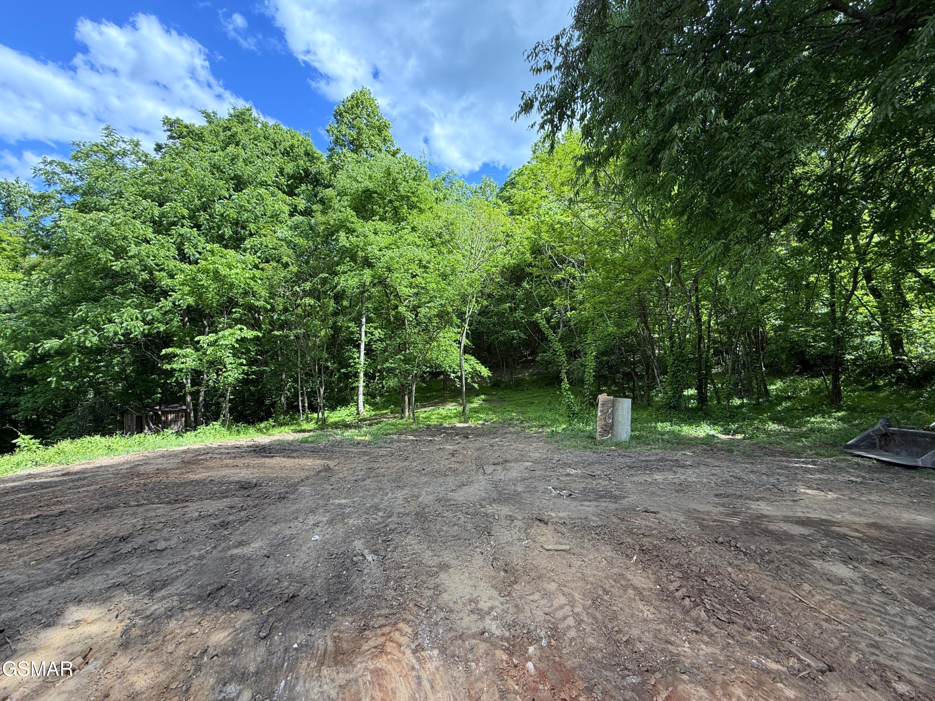 316 Wiley Town Road Newport TN 37821