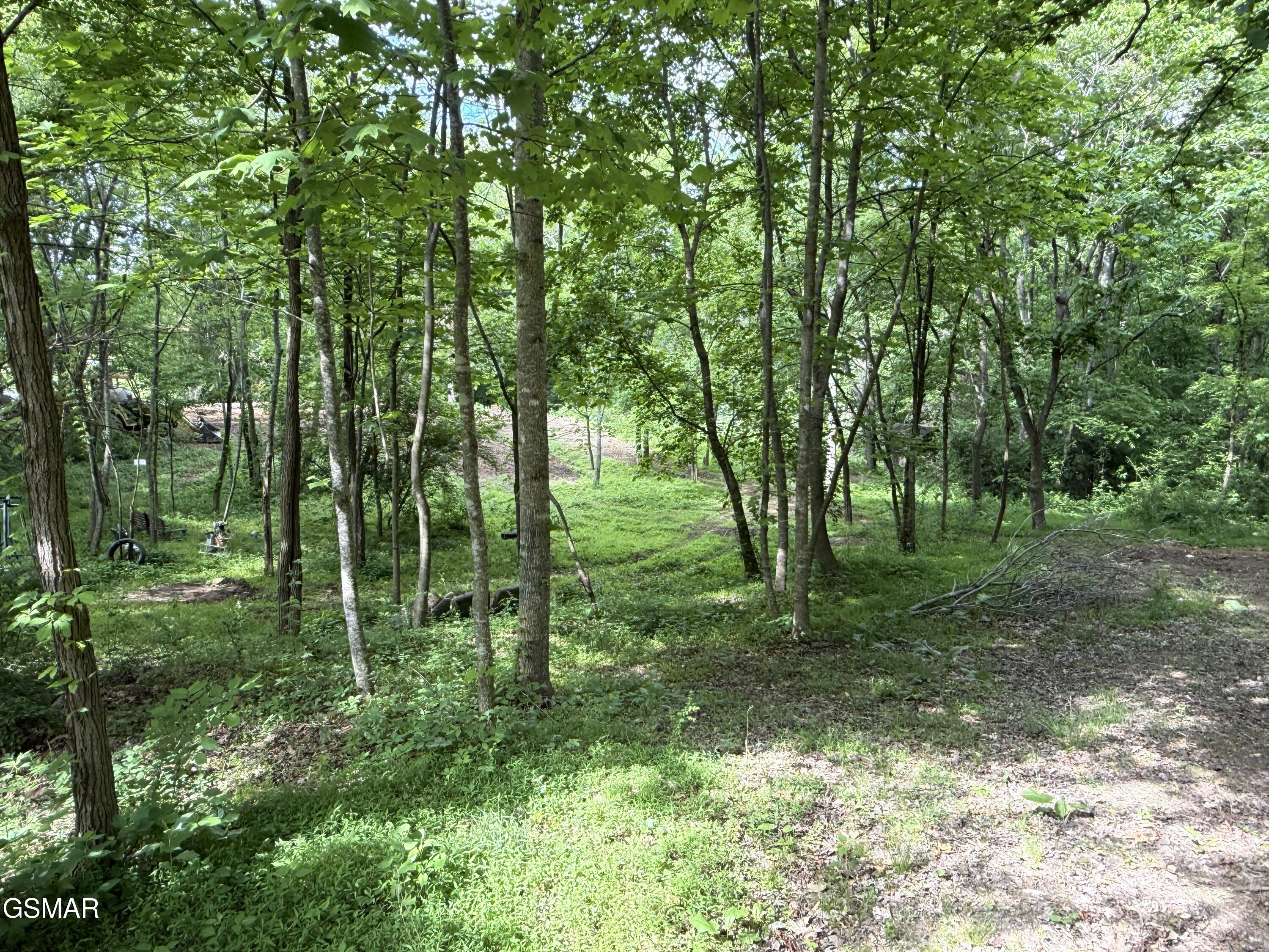 316 Wiley Town Road Newport TN 37821