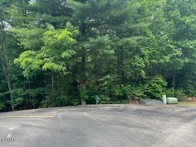 2808 Grist Mill Lane Sevierville TN 37862