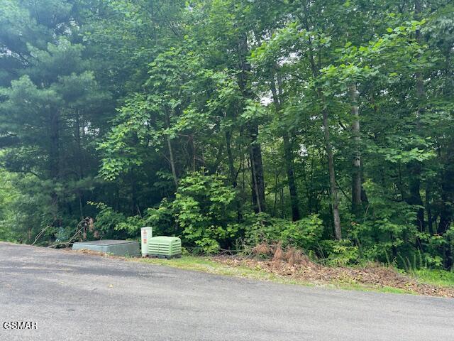 2808 Grist Mill Lane Sevierville TN 37862