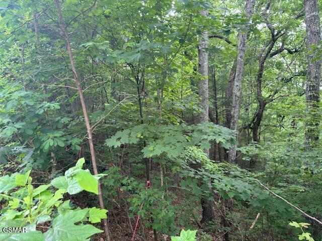 2808 Grist Mill Lane Sevierville TN 37862