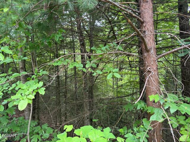 2808 Grist Mill Lane Sevierville TN 37862