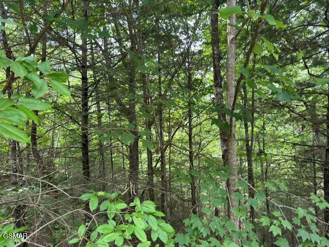 2808 Grist Mill Lane Sevierville TN 37862