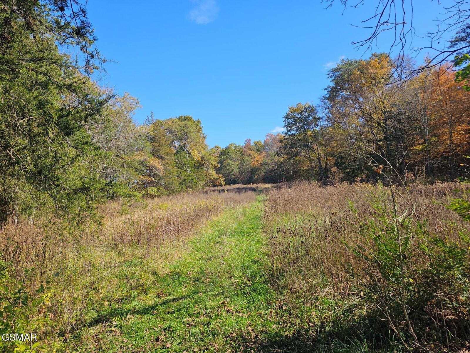 0 N Highway 340 Parrottsville TN 37843