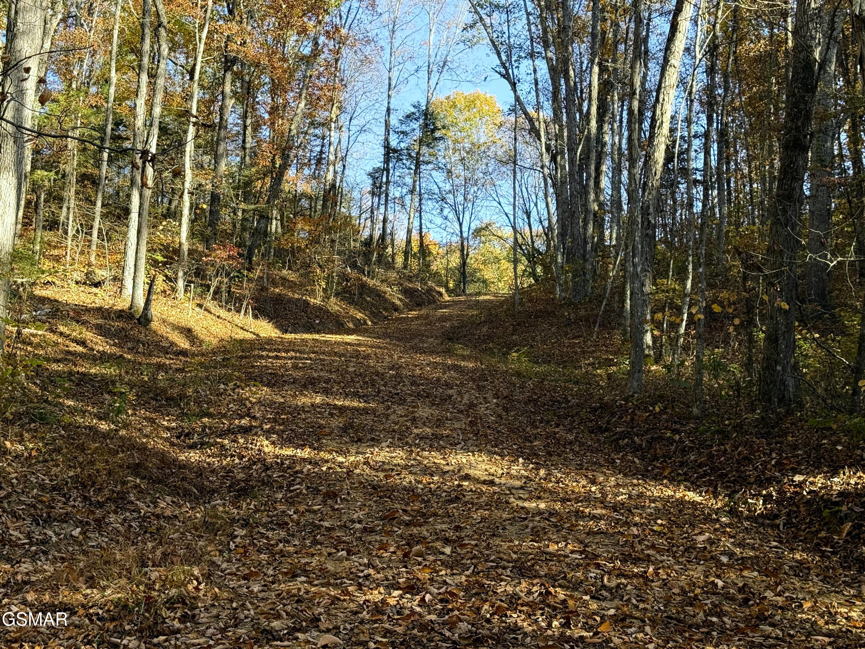 Tract 4 Topaz Way Parrottsville TN 37843