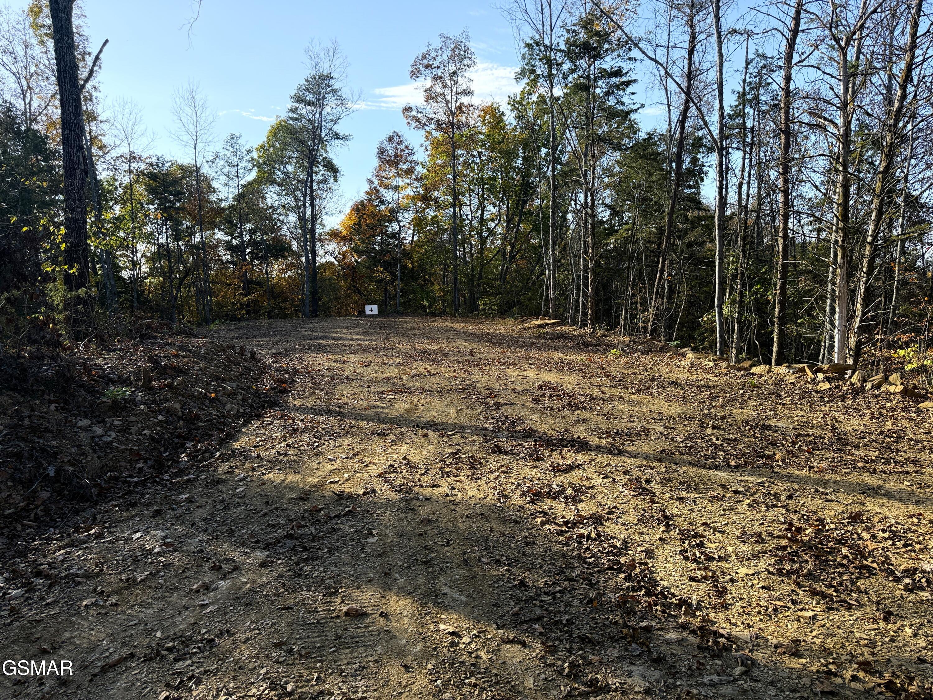 Tract 4 Topaz Way Parrottsville TN 37843
