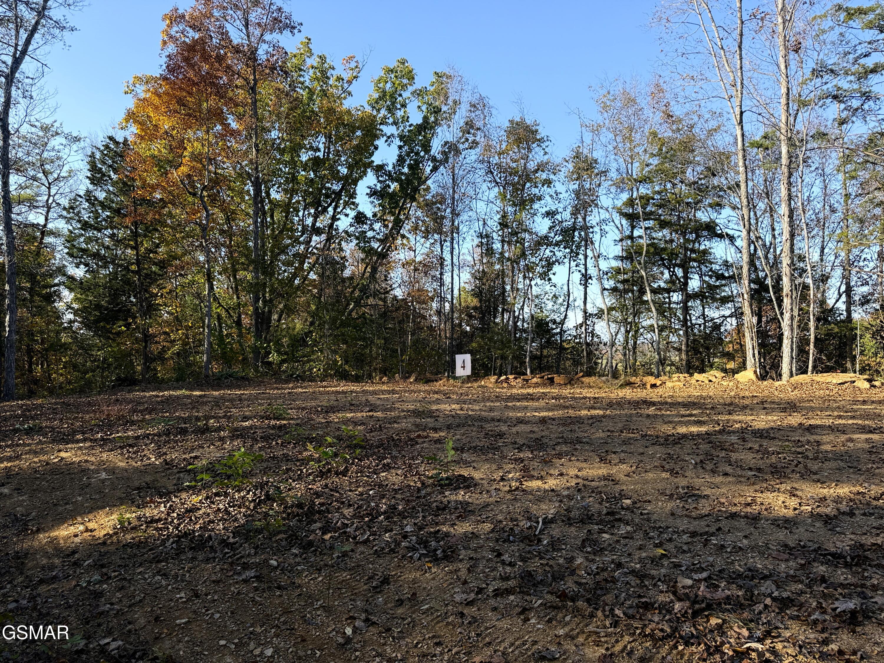 Tract 4 Topaz Way Parrottsville TN 37843