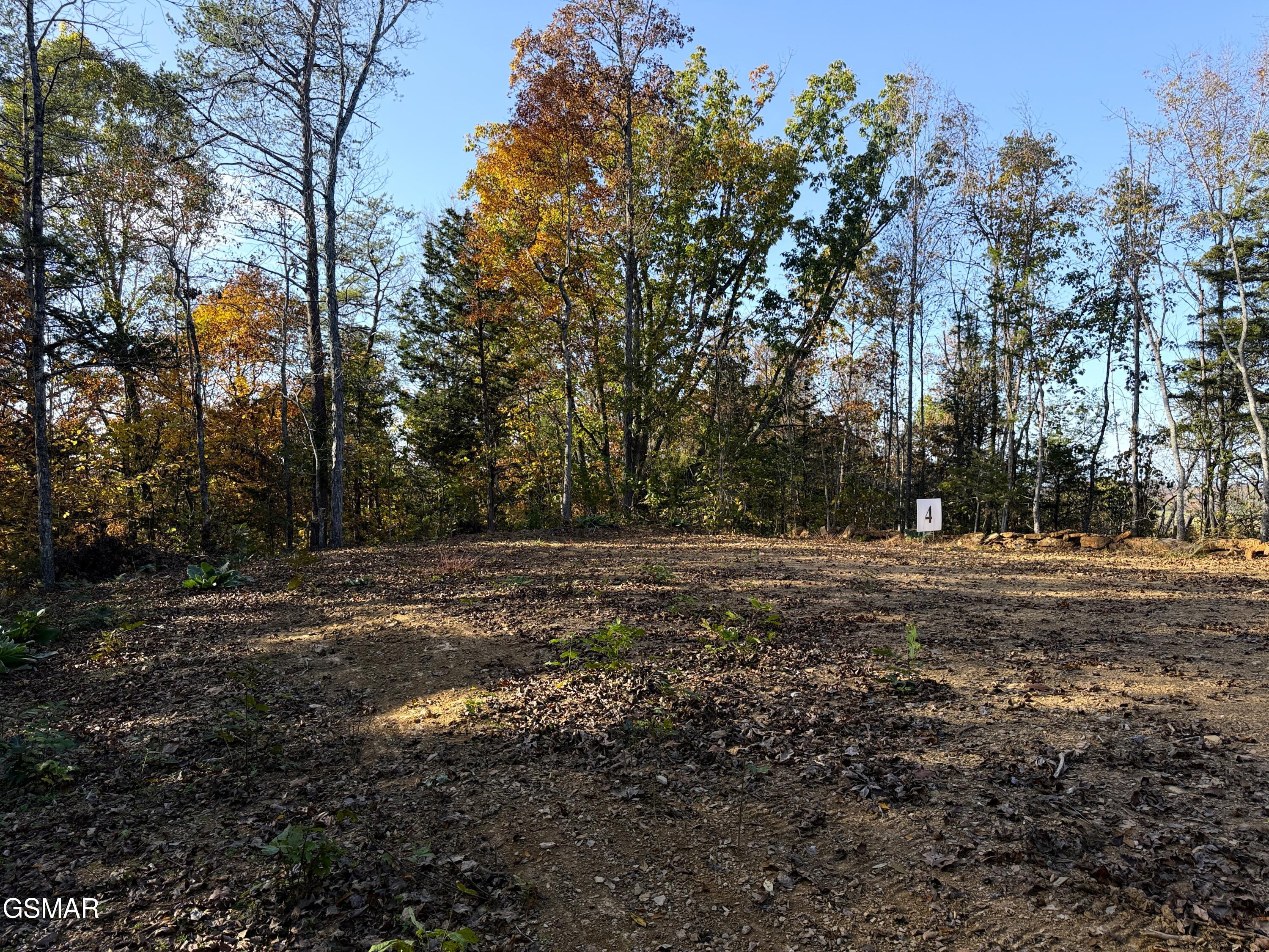 Tract 4 Topaz Way Parrottsville TN 37843