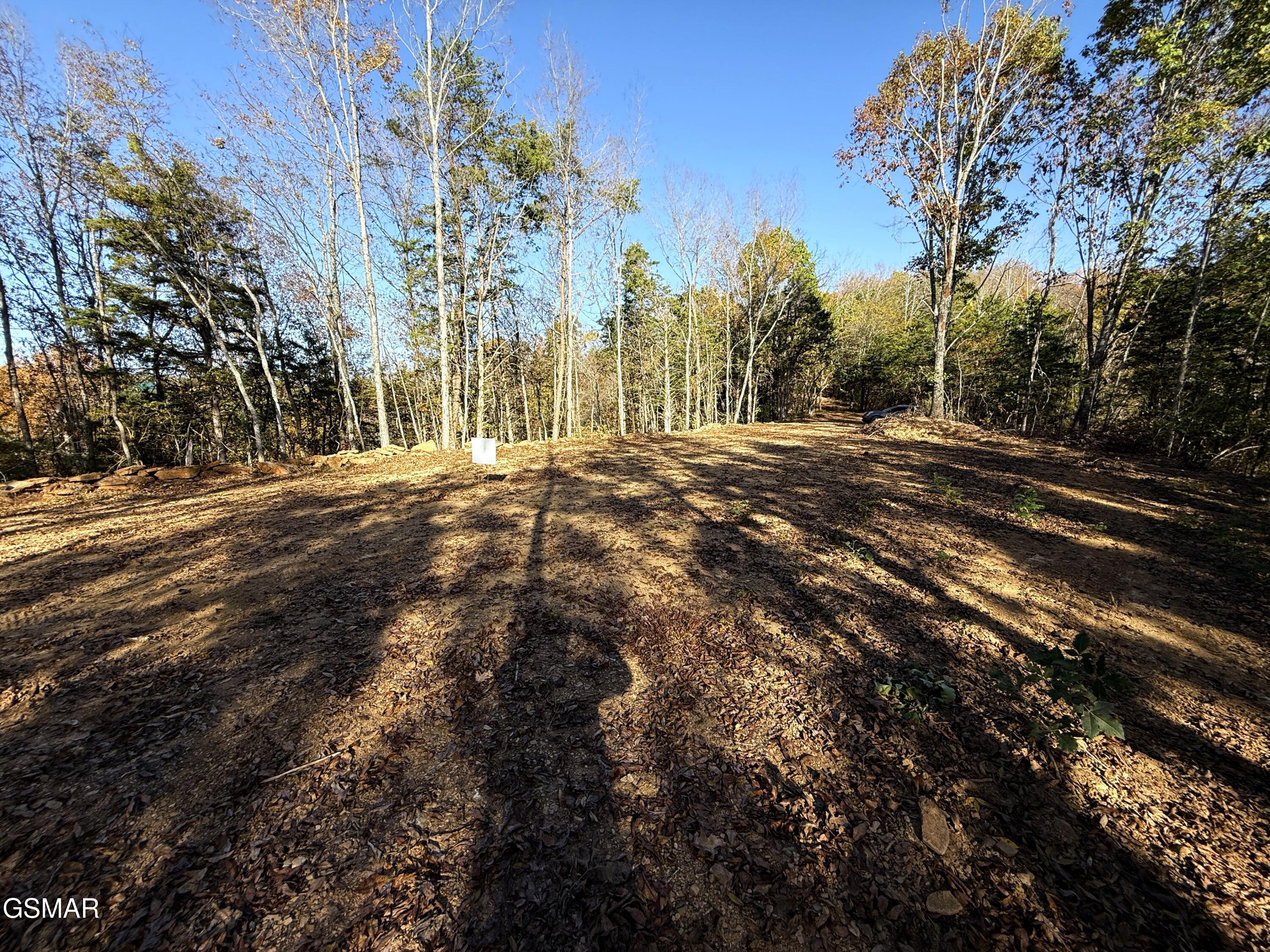 Tract 4 Topaz Way Parrottsville TN 37843
