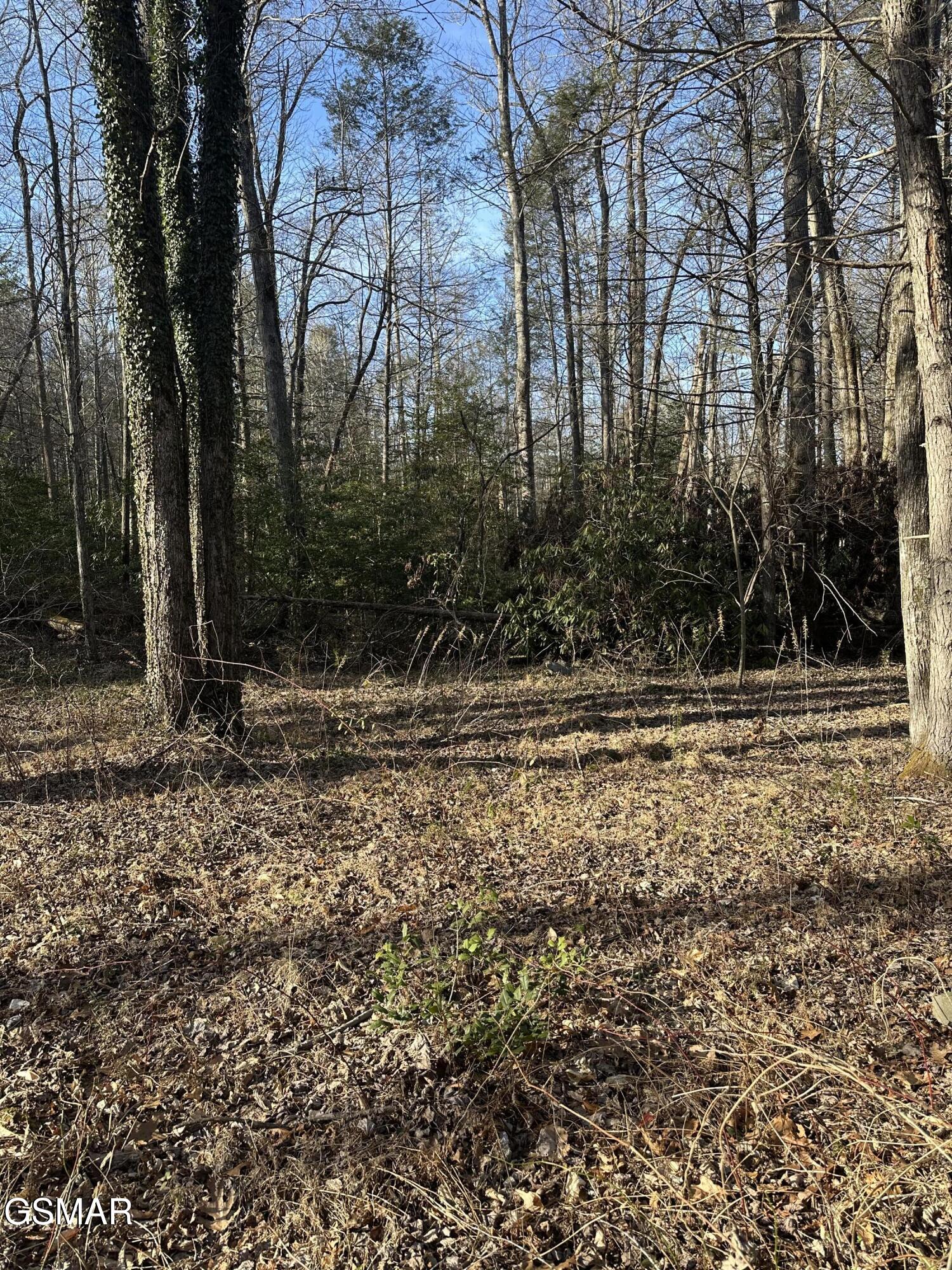 144 Cricket Hollow Way Cosby TN 37722