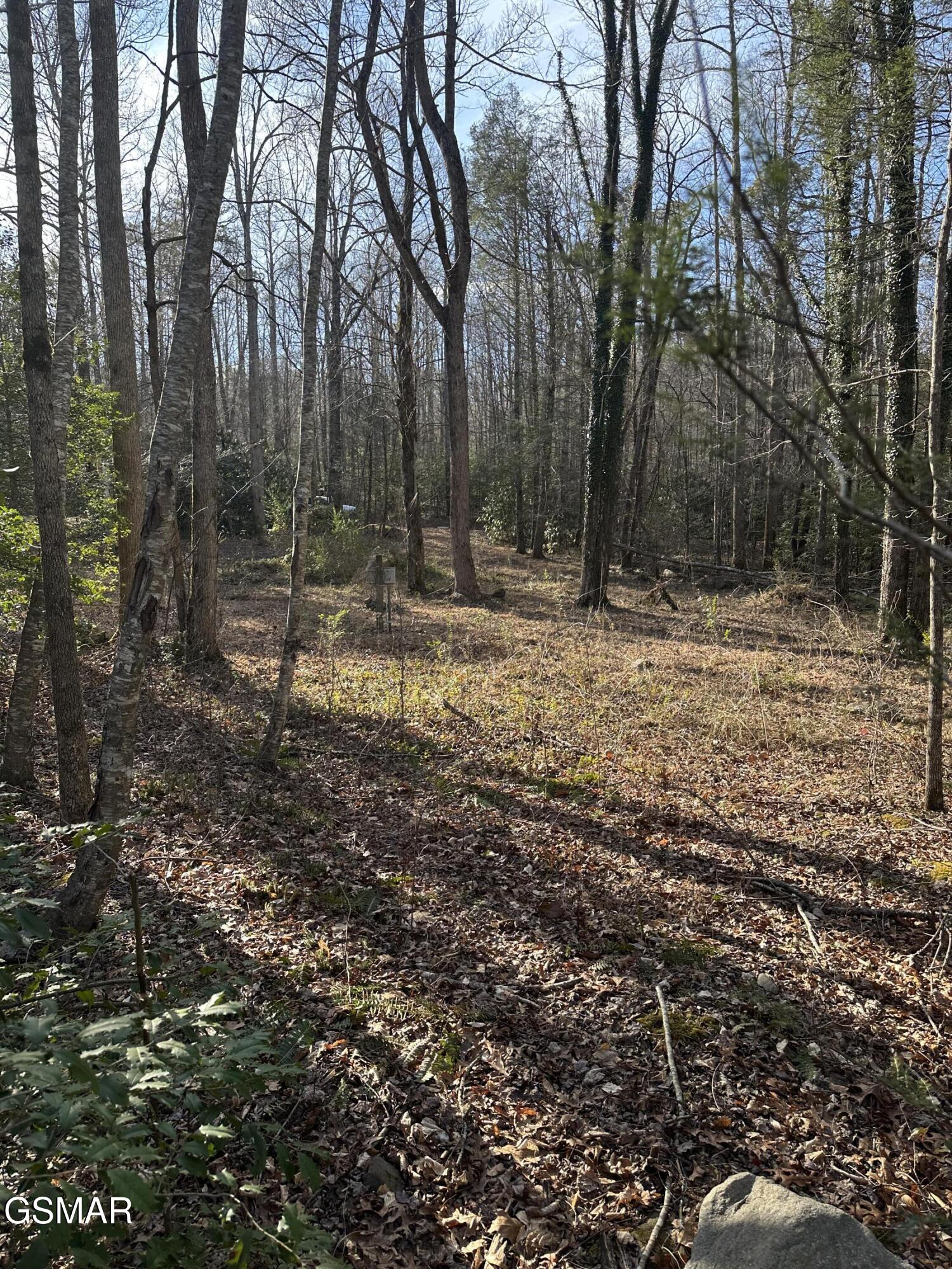 144 Cricket Hollow Way Cosby TN 37722