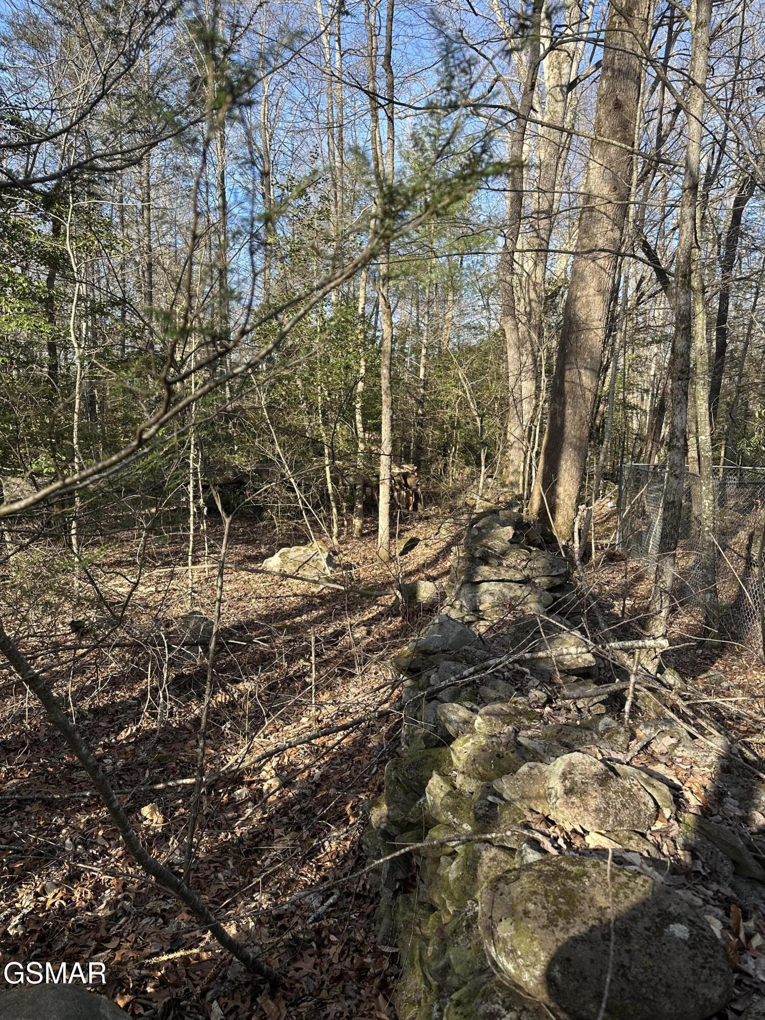 144 Cricket Hollow Way Cosby TN 37722