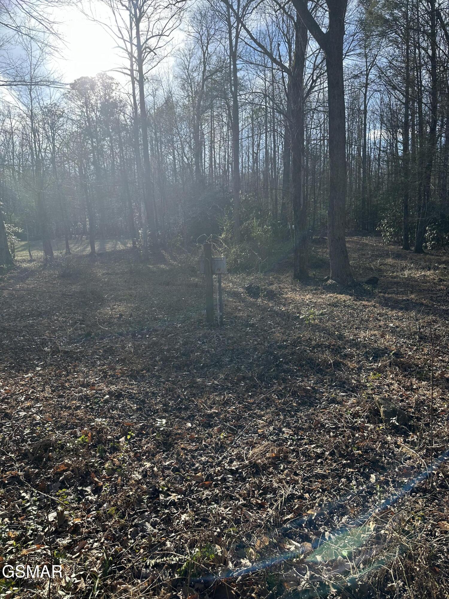 144 Cricket Hollow Way Cosby TN 37722