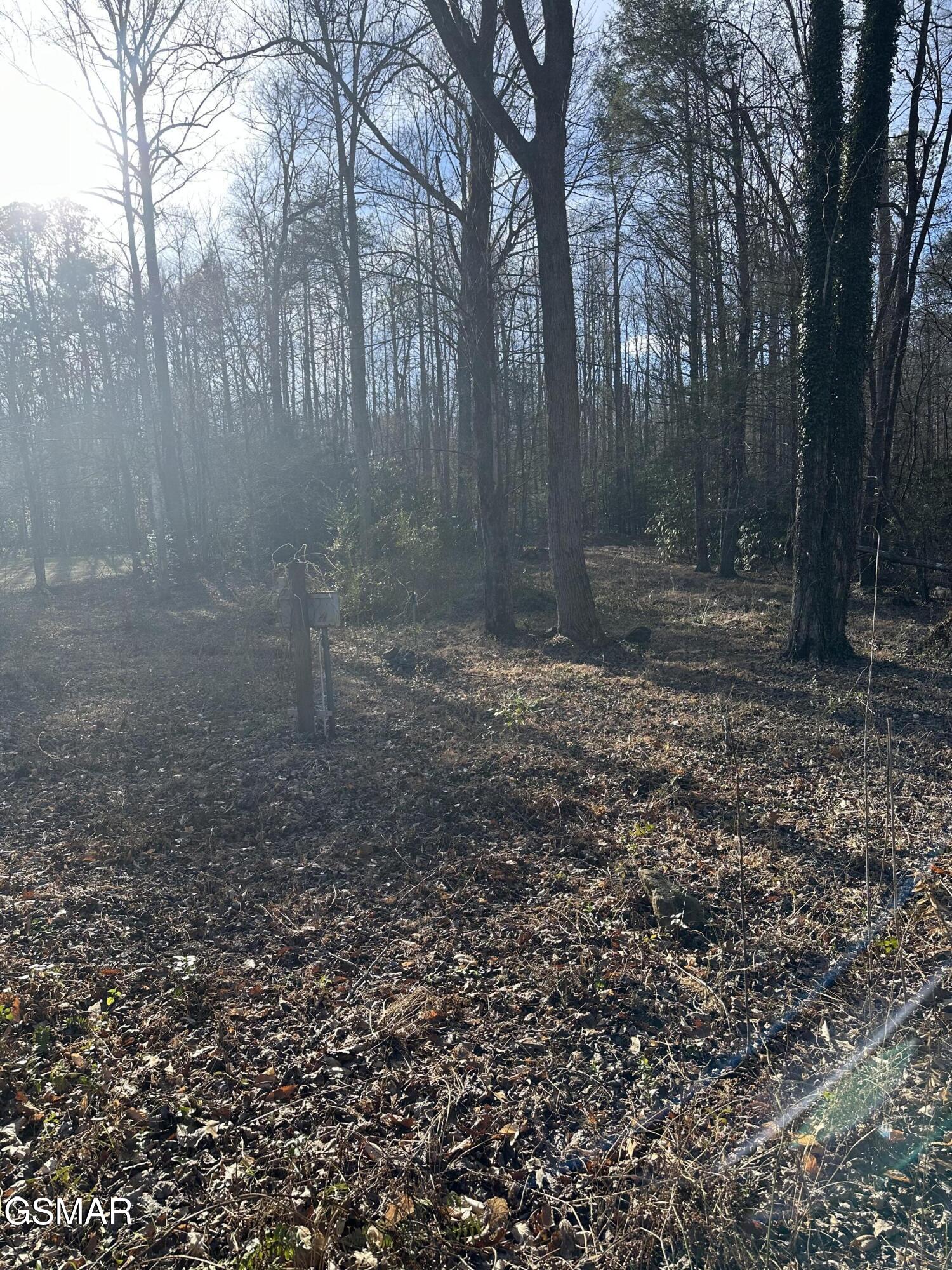 144 Cricket Hollow Way Cosby TN 37722