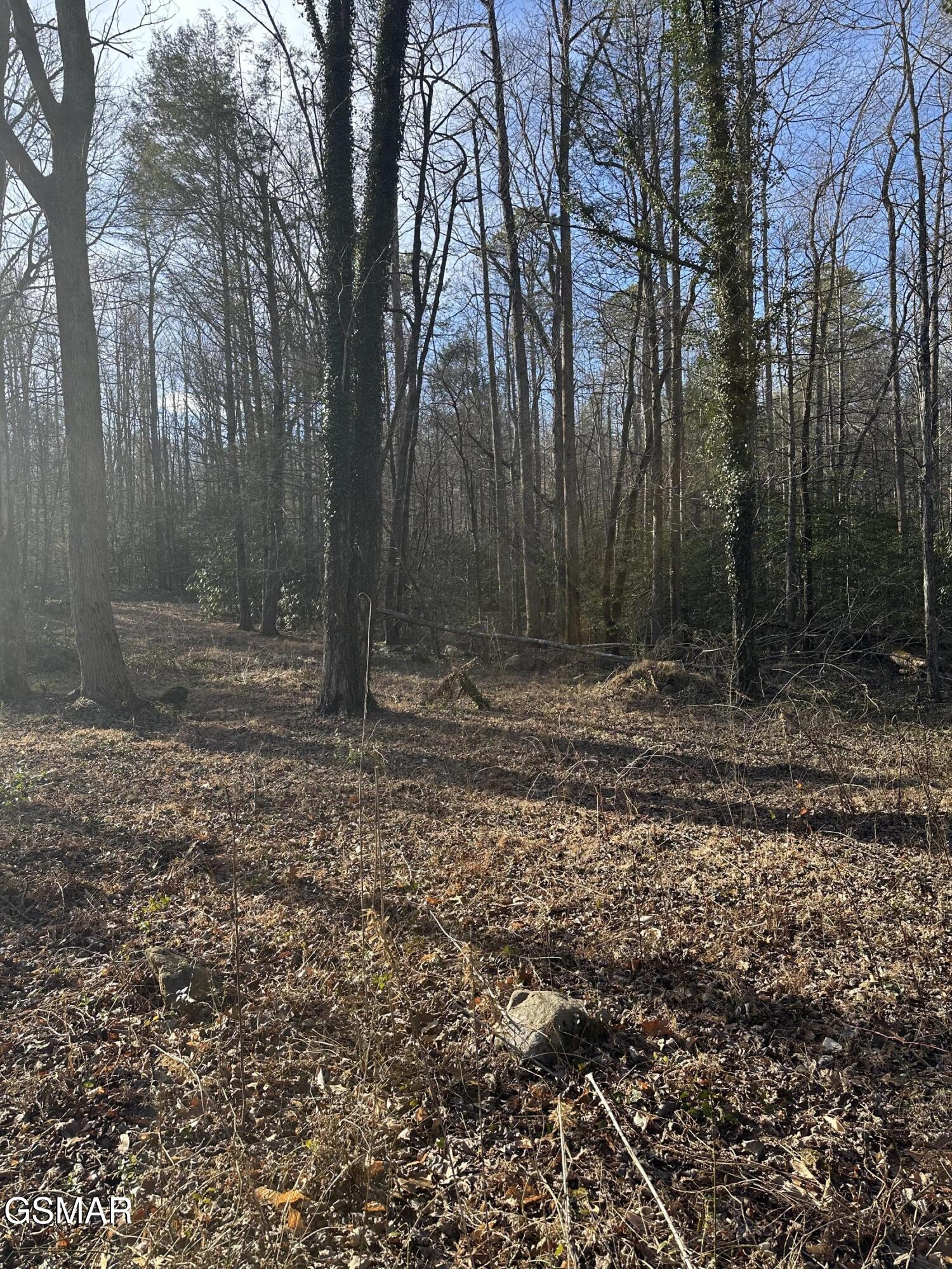 144 Cricket Hollow Way Cosby TN 37722
