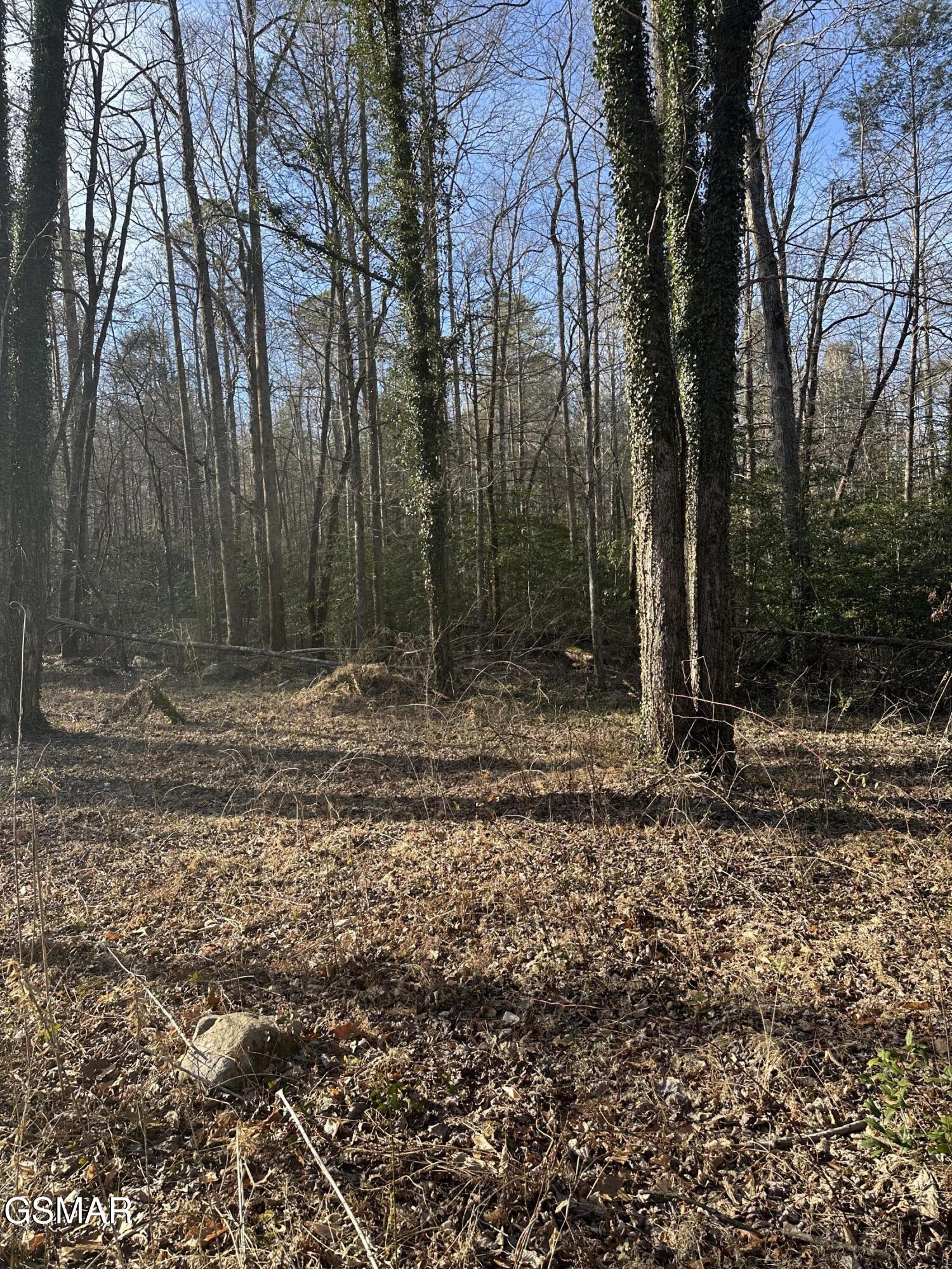 144 Cricket Hollow Way Cosby TN 37722