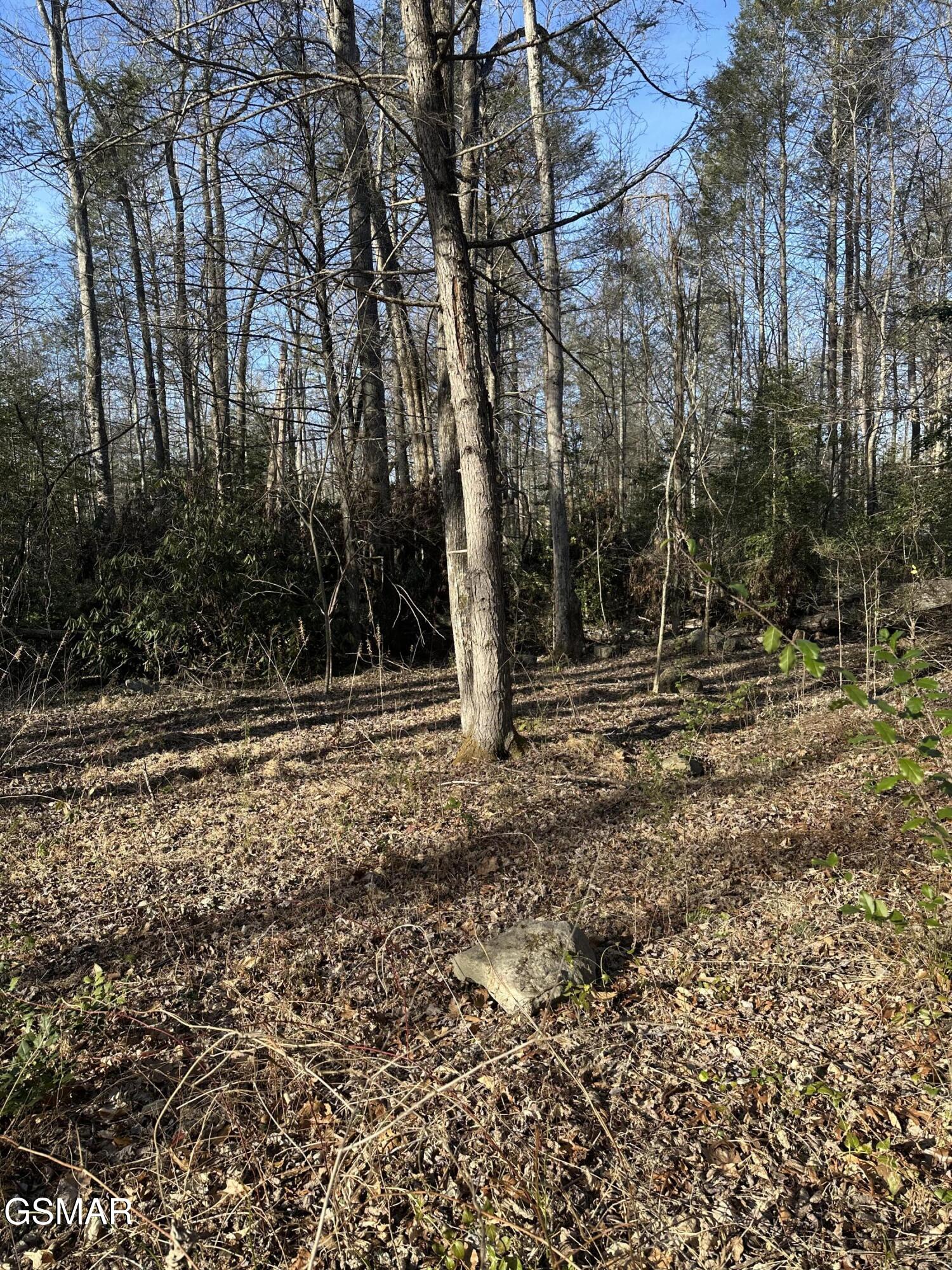 144 Cricket Hollow Way Cosby TN 37722