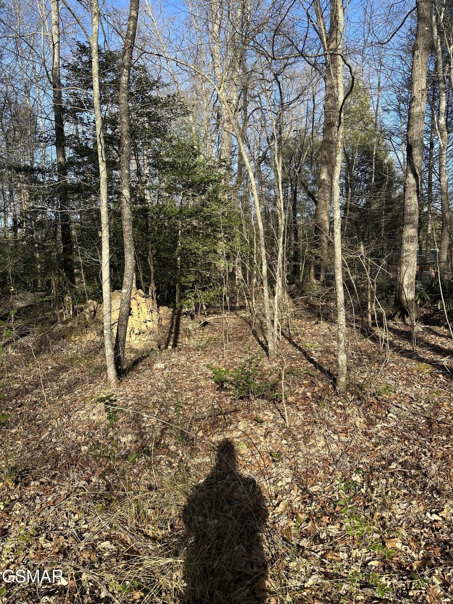 144 Cricket Hollow Way Cosby TN 37722