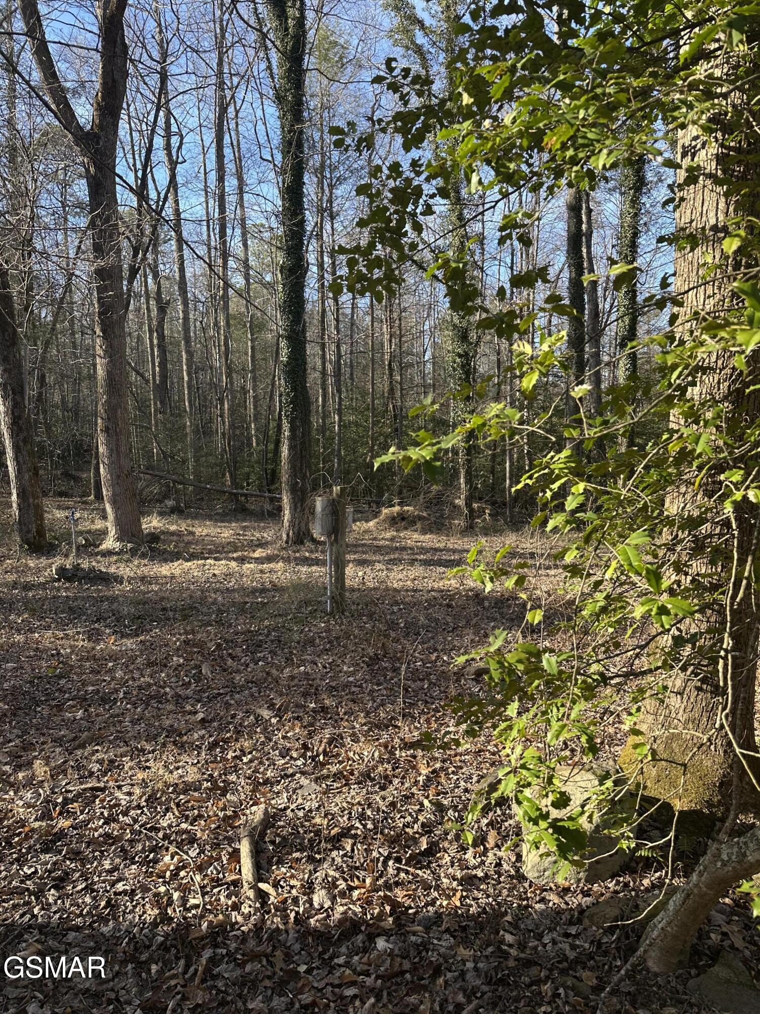 144 Cricket Hollow Way Cosby TN 37722