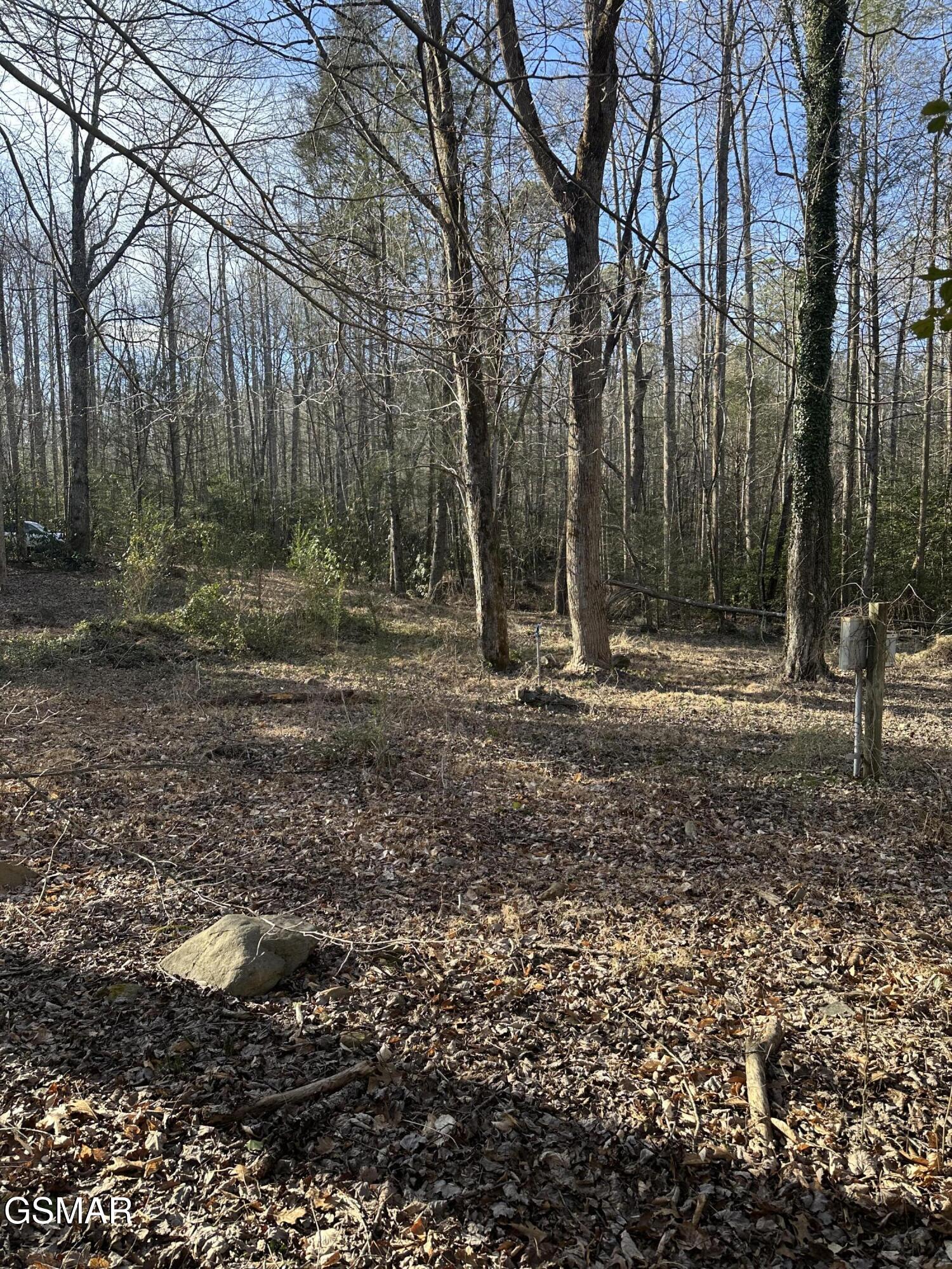 144 Cricket Hollow Way Cosby TN 37722