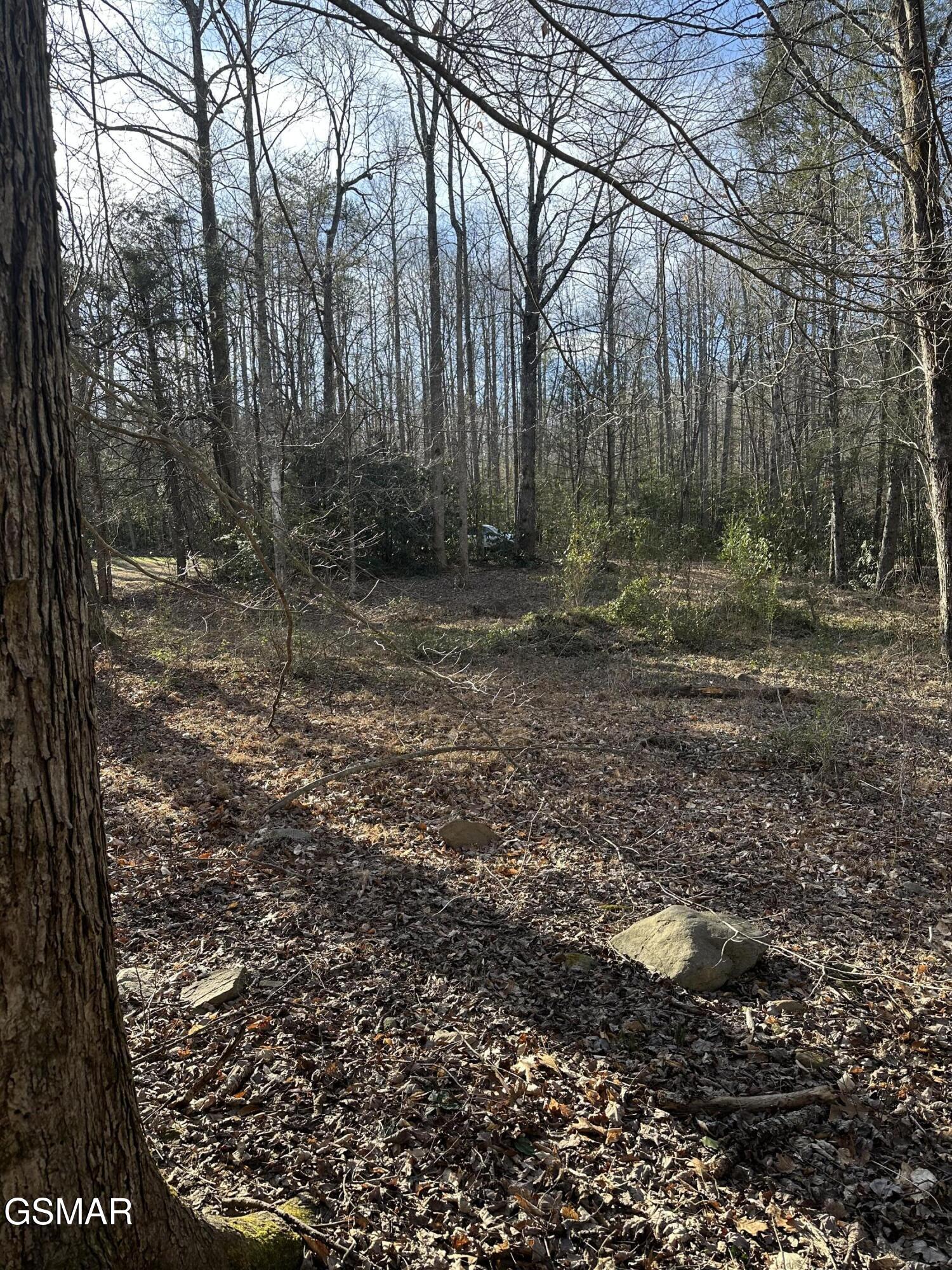 144 Cricket Hollow Way Cosby TN 37722
