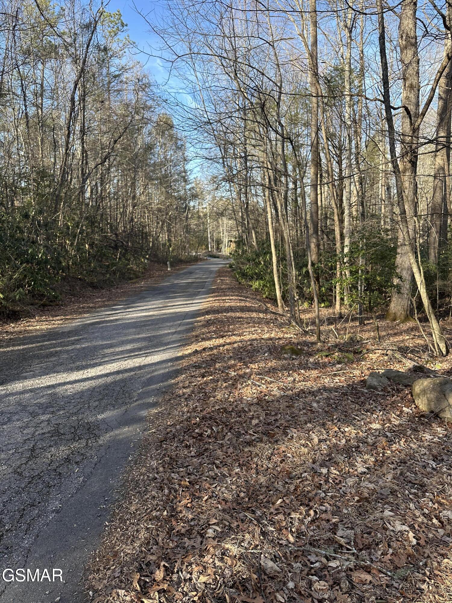 144 Cricket Hollow Way Cosby TN 37722