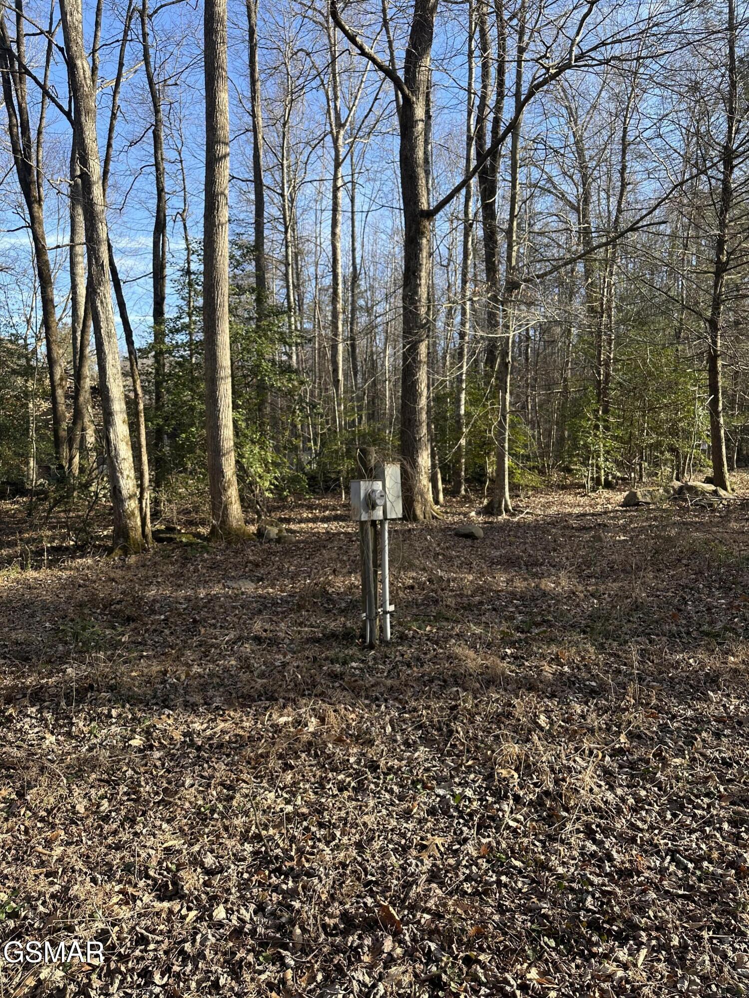 144 Cricket Hollow Way Cosby TN 37722