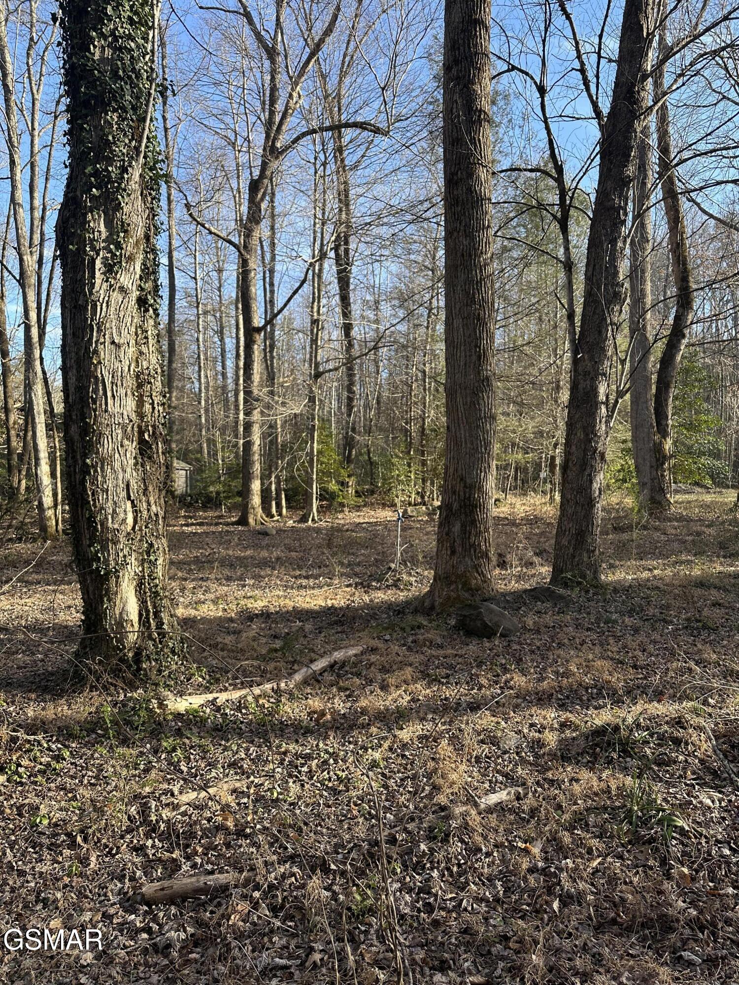 144 Cricket Hollow Way Cosby TN 37722