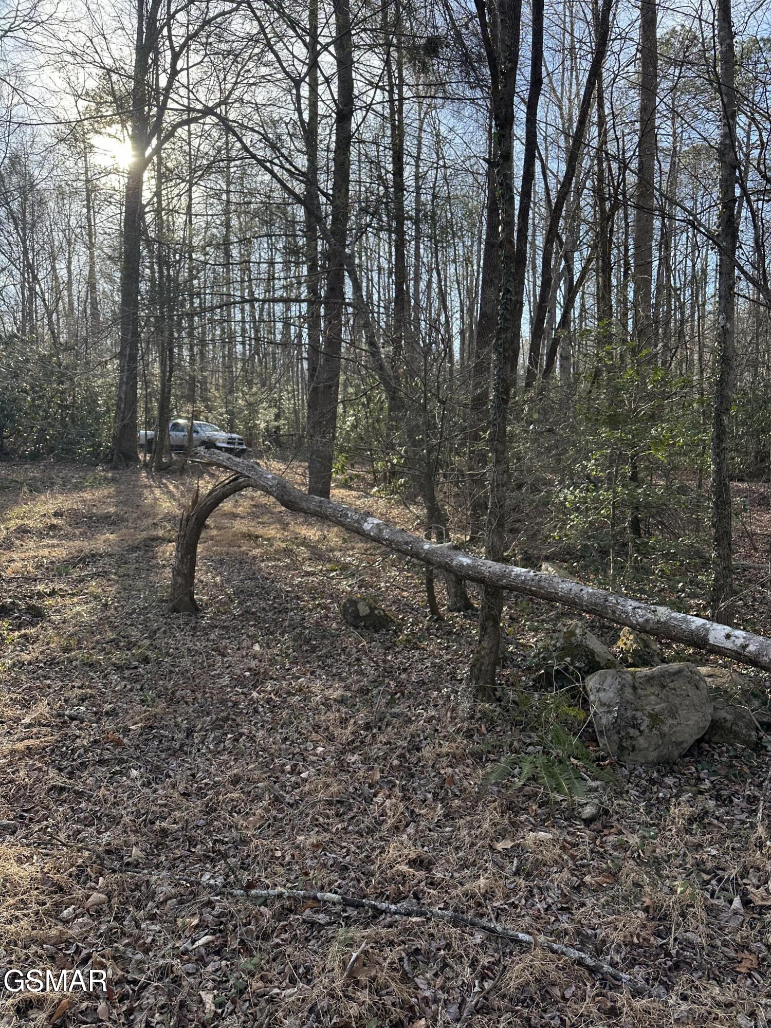 144 Cricket Hollow Way Cosby TN 37722