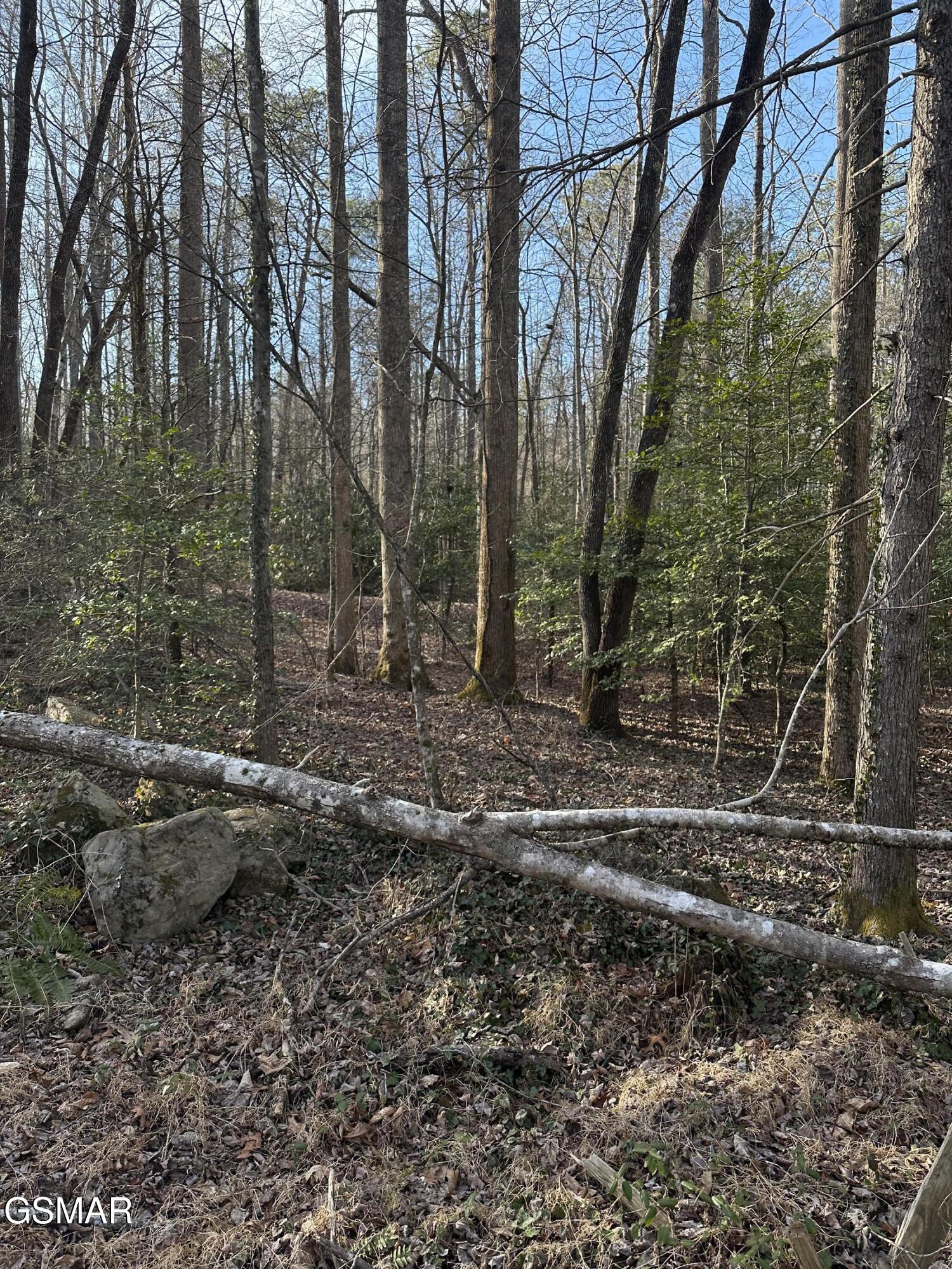 144 Cricket Hollow Way Cosby TN 37722