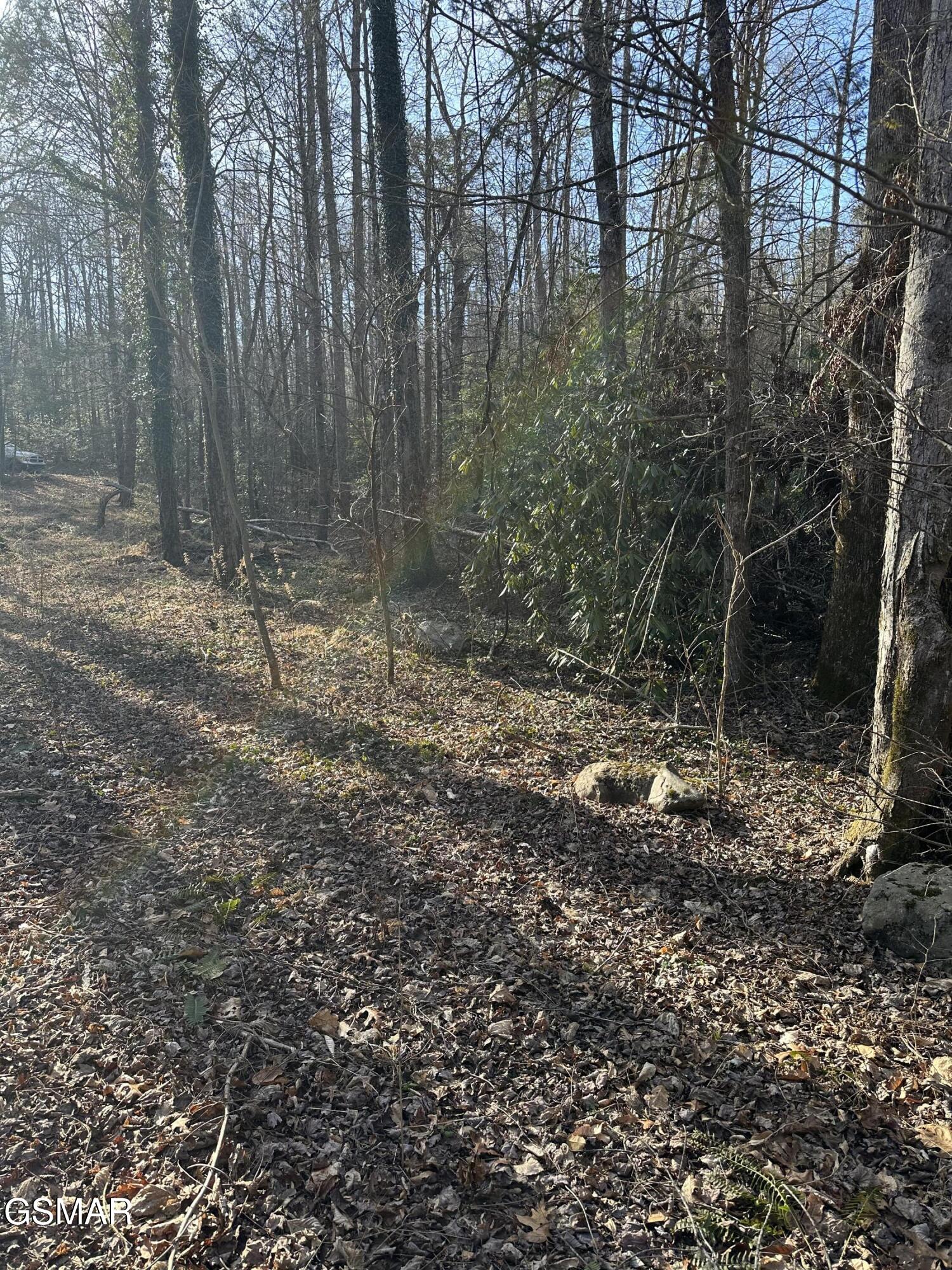 144 Cricket Hollow Way Cosby TN 37722