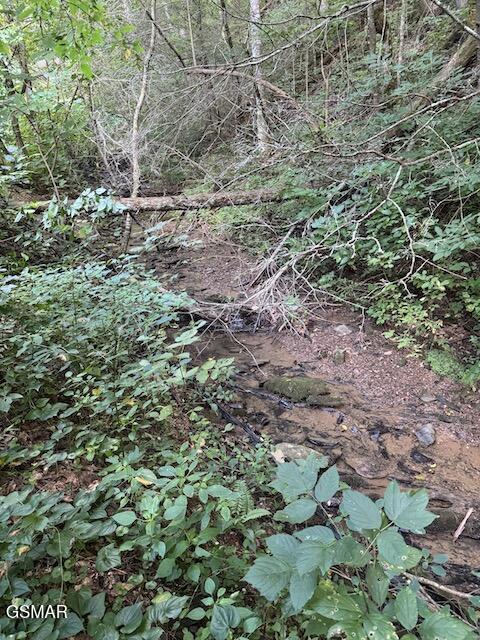 Lot 30 Catons Chapel Road Sevierville TN 37876