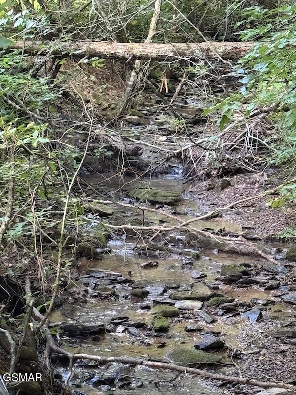 Lot 30 Catons Chapel Road Sevierville TN 37876