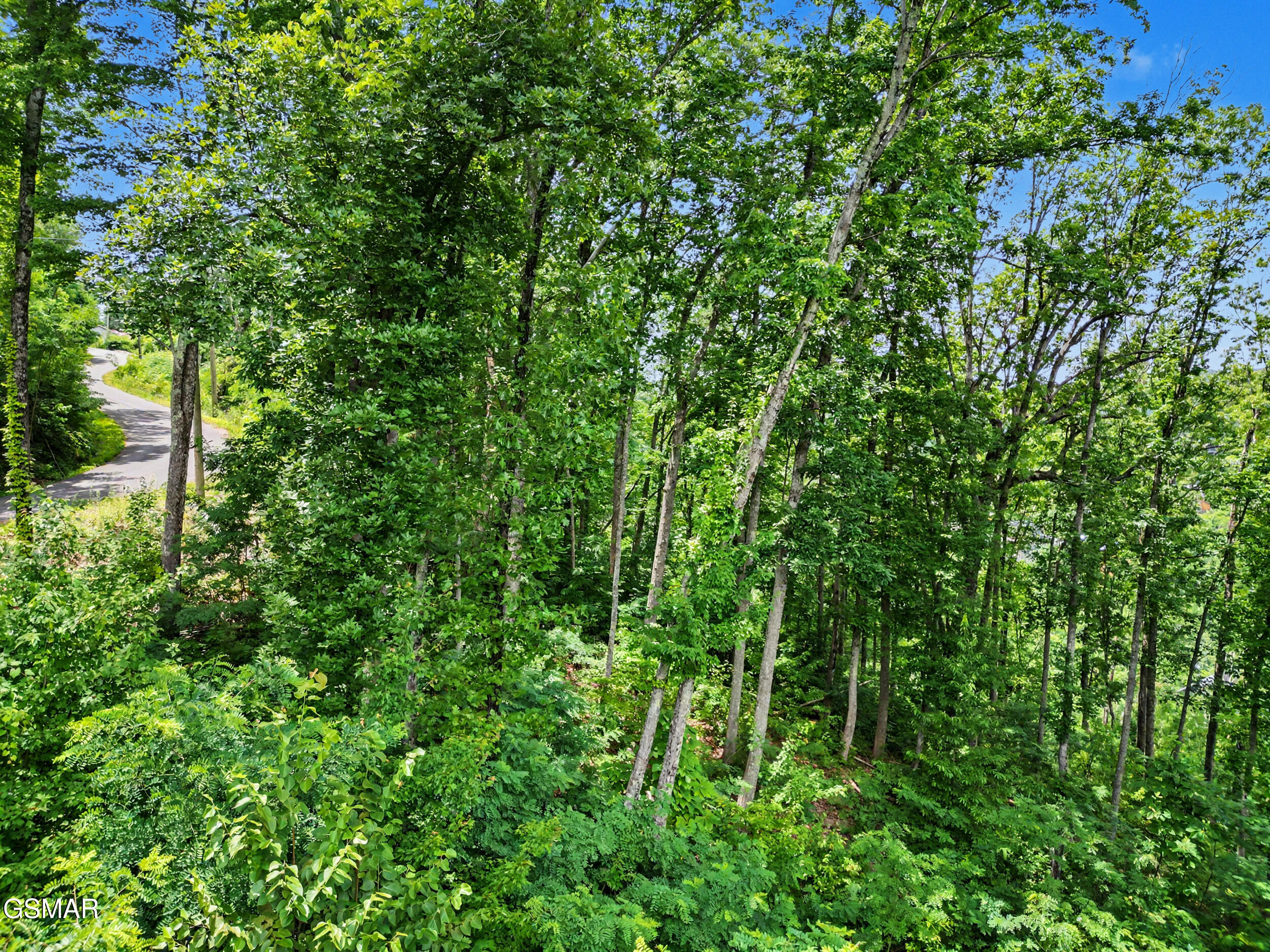 Lot 571 Village Loop Road Gatlinburg TN 37738