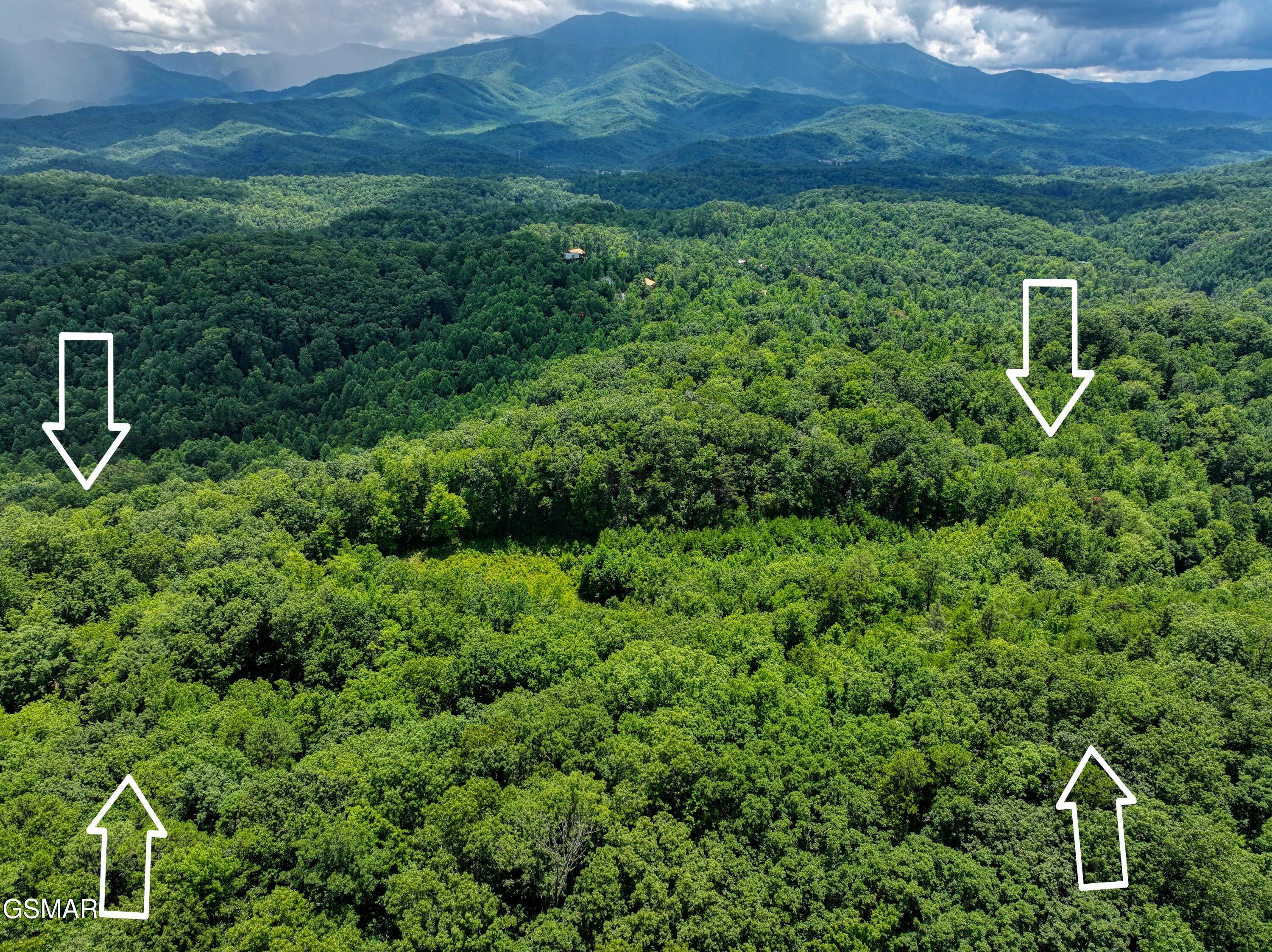 0 Birds Creek Road Gatlinburg TN 37738