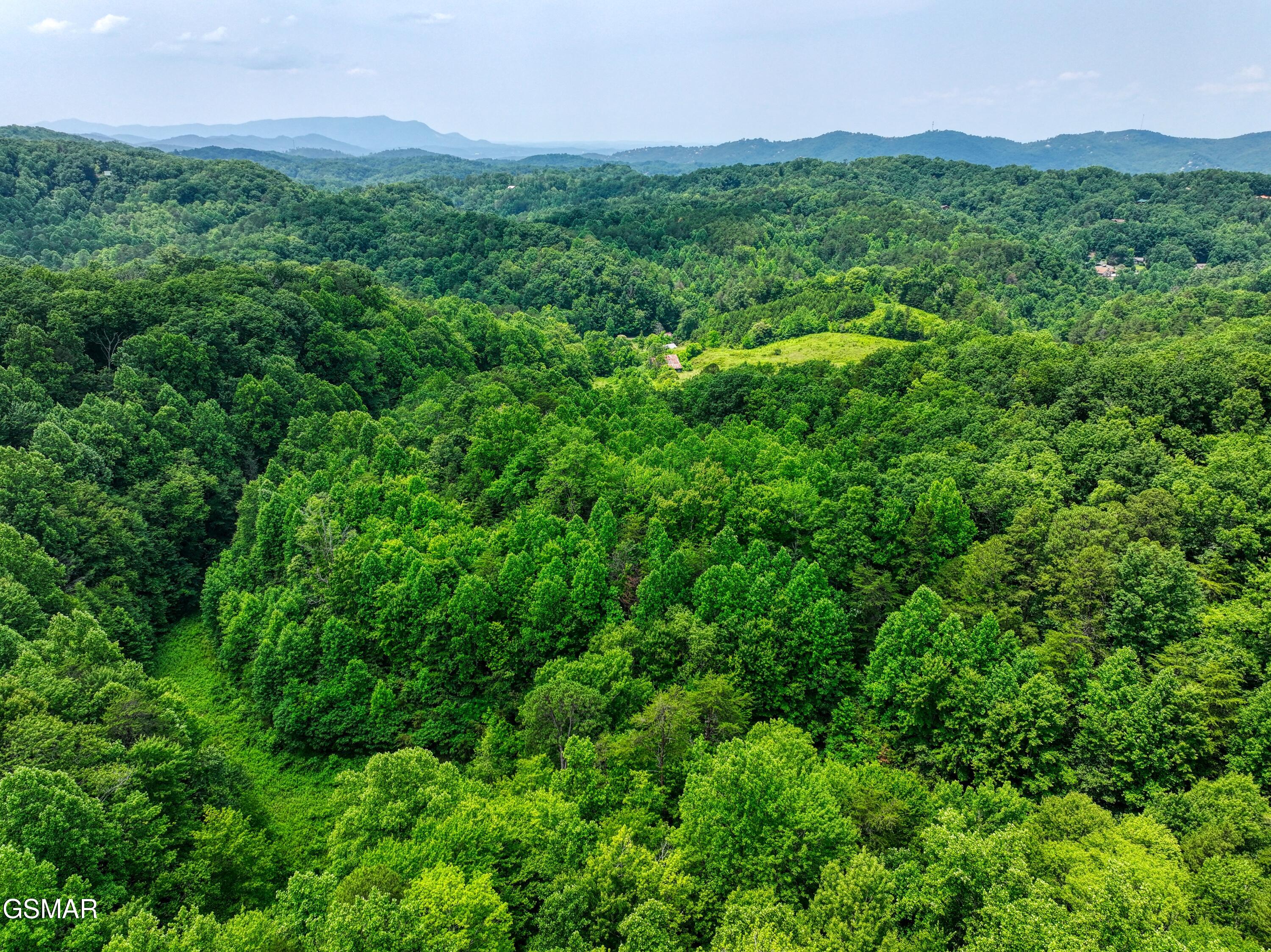 0 Birds Creek Road Gatlinburg TN 37738