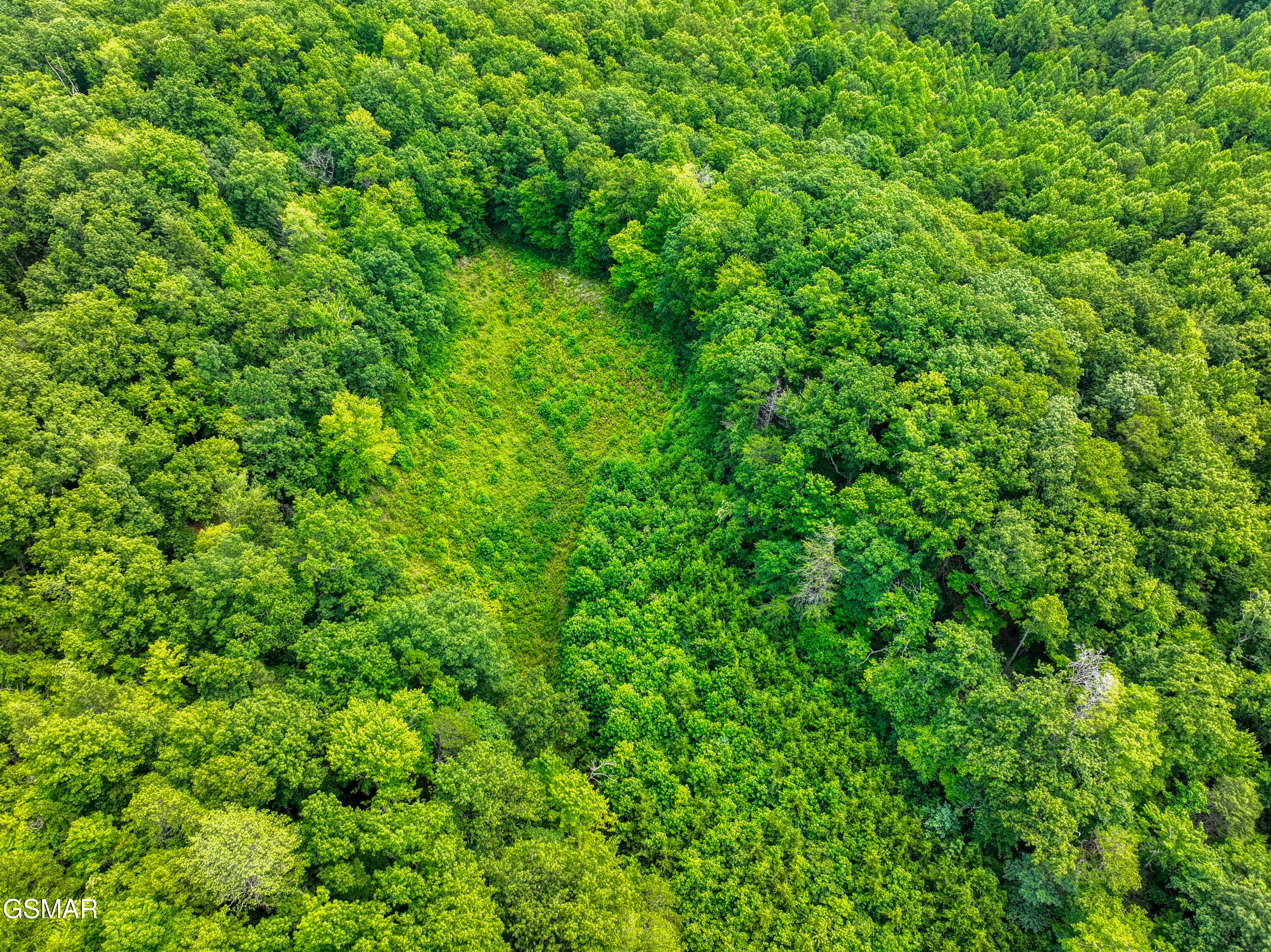 0 Birds Creek Road Gatlinburg TN 37738