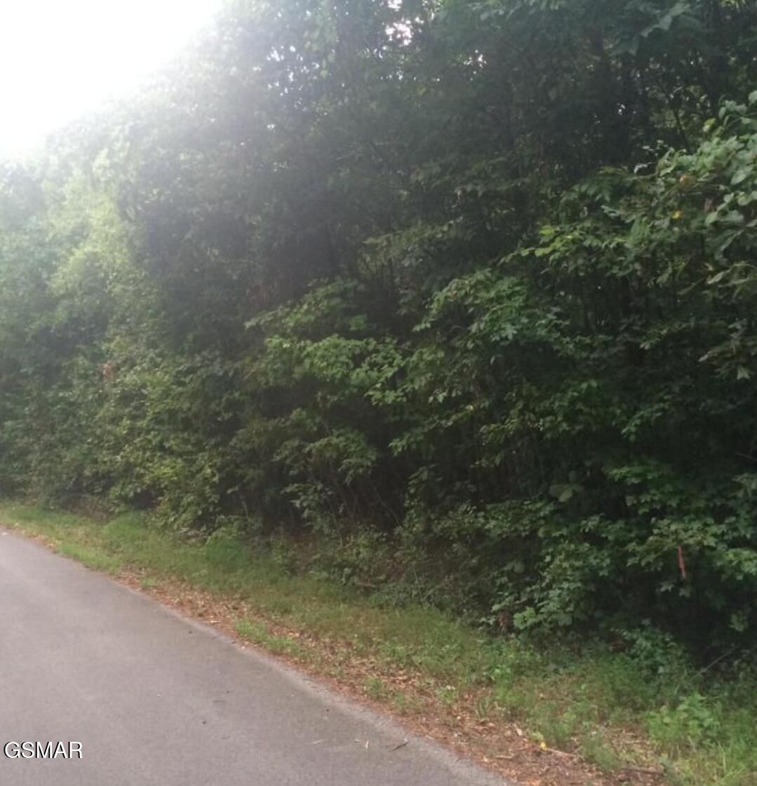 3347 Mountain View Lane Baneberry TN 37890
