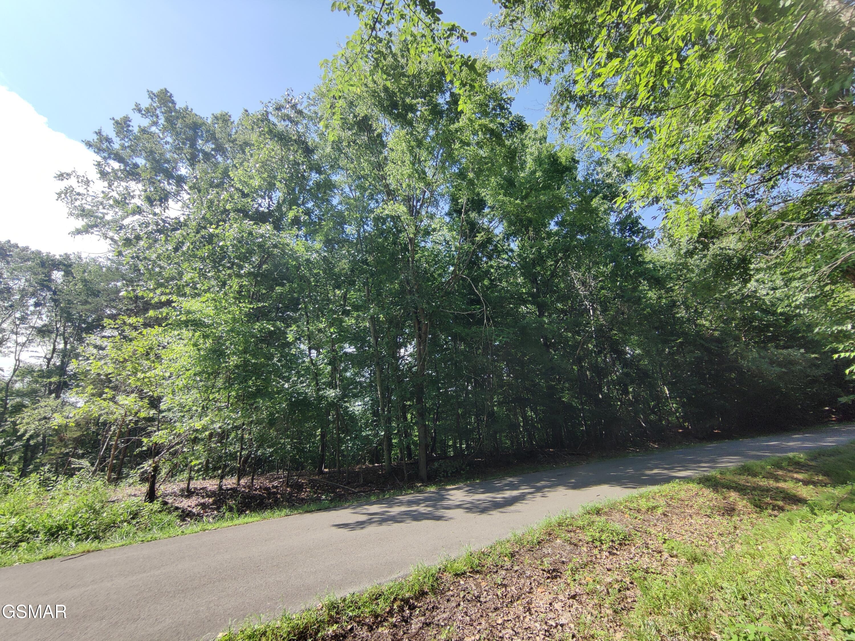 3347 Mountain View Lane Baneberry TN 37890