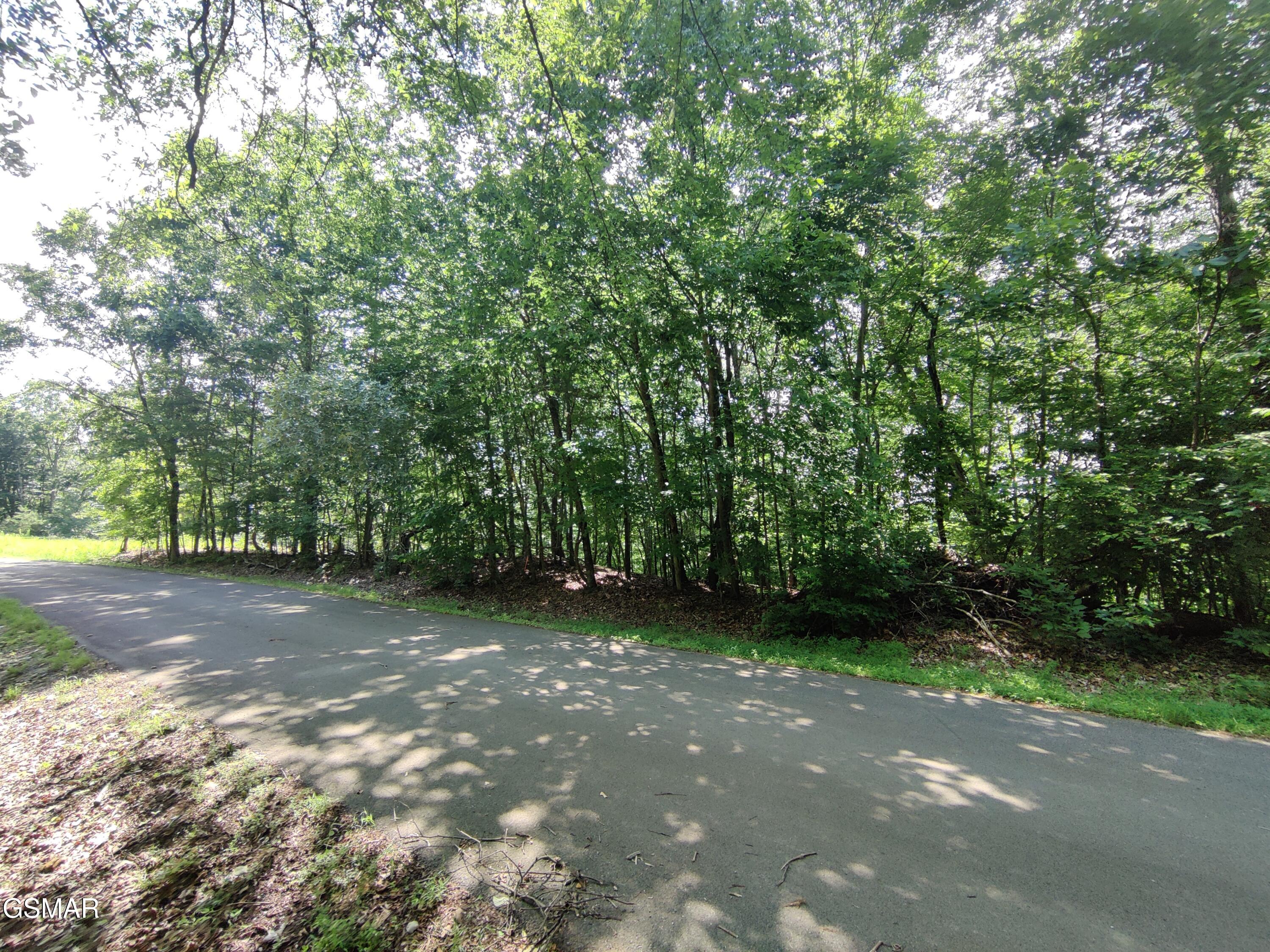 3347 Mountain View Lane Baneberry TN 37890