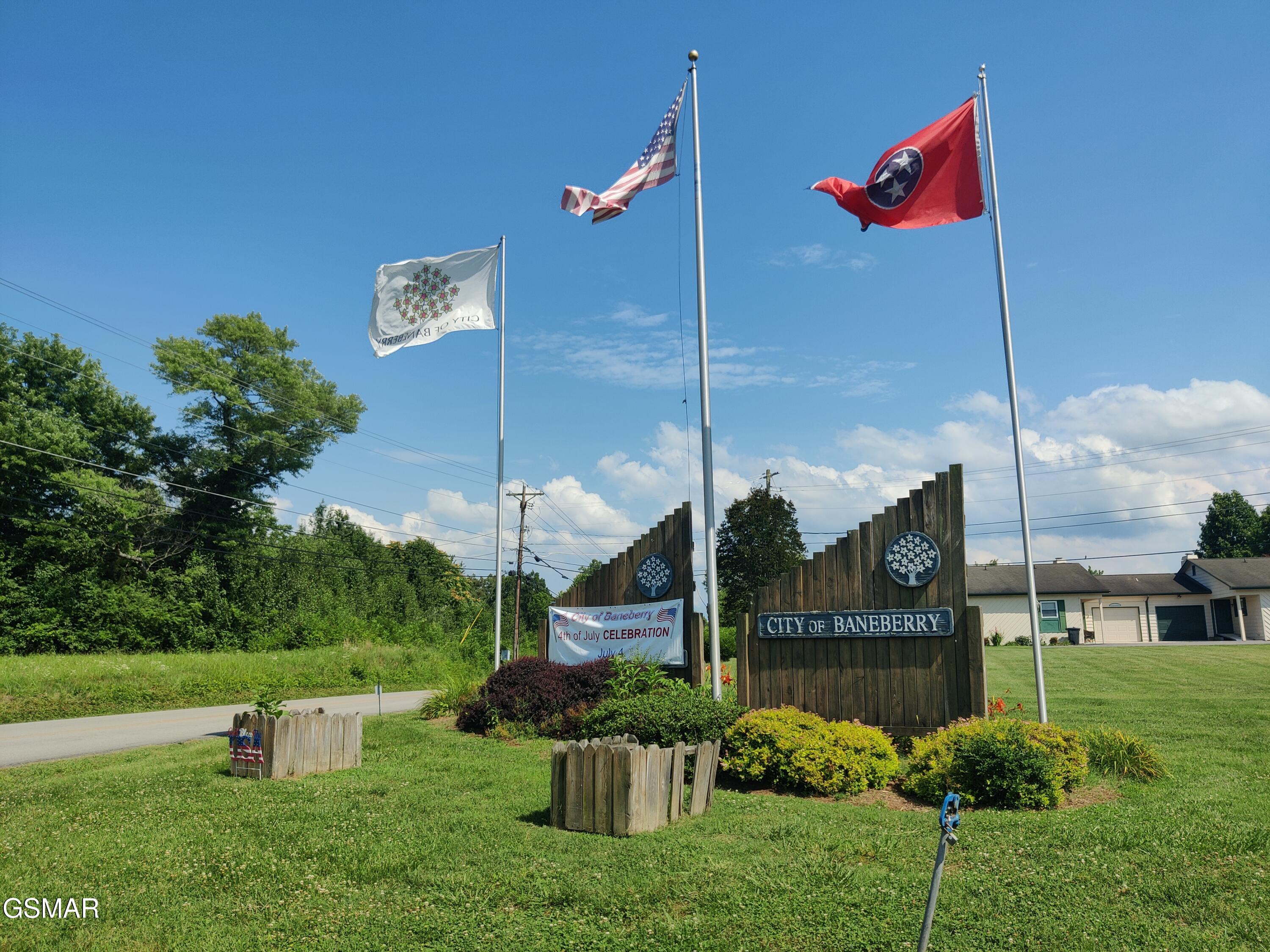 3347 Mountain View Lane Baneberry TN 37890
