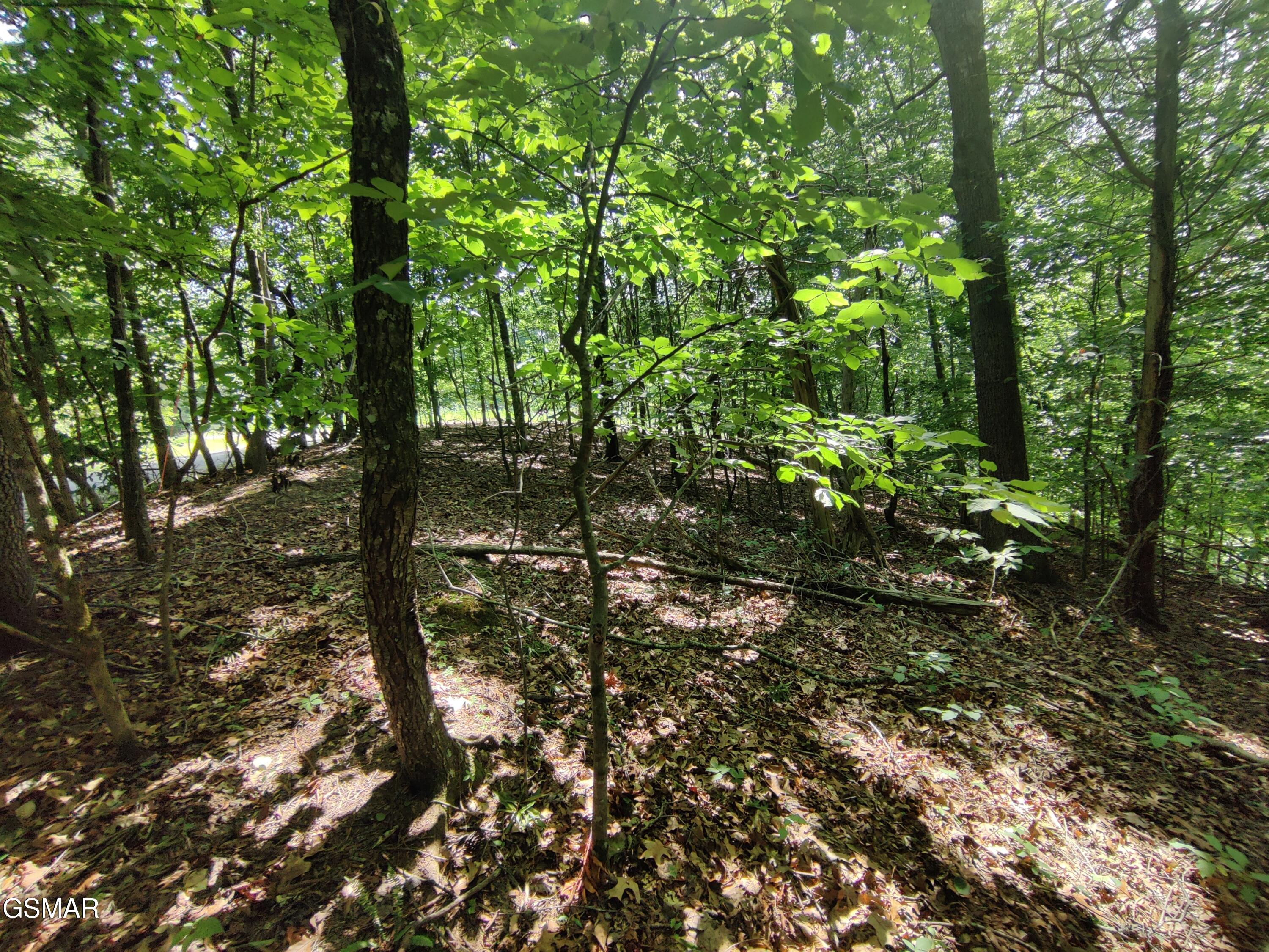 3347 Mountain View Lane Baneberry TN 37890